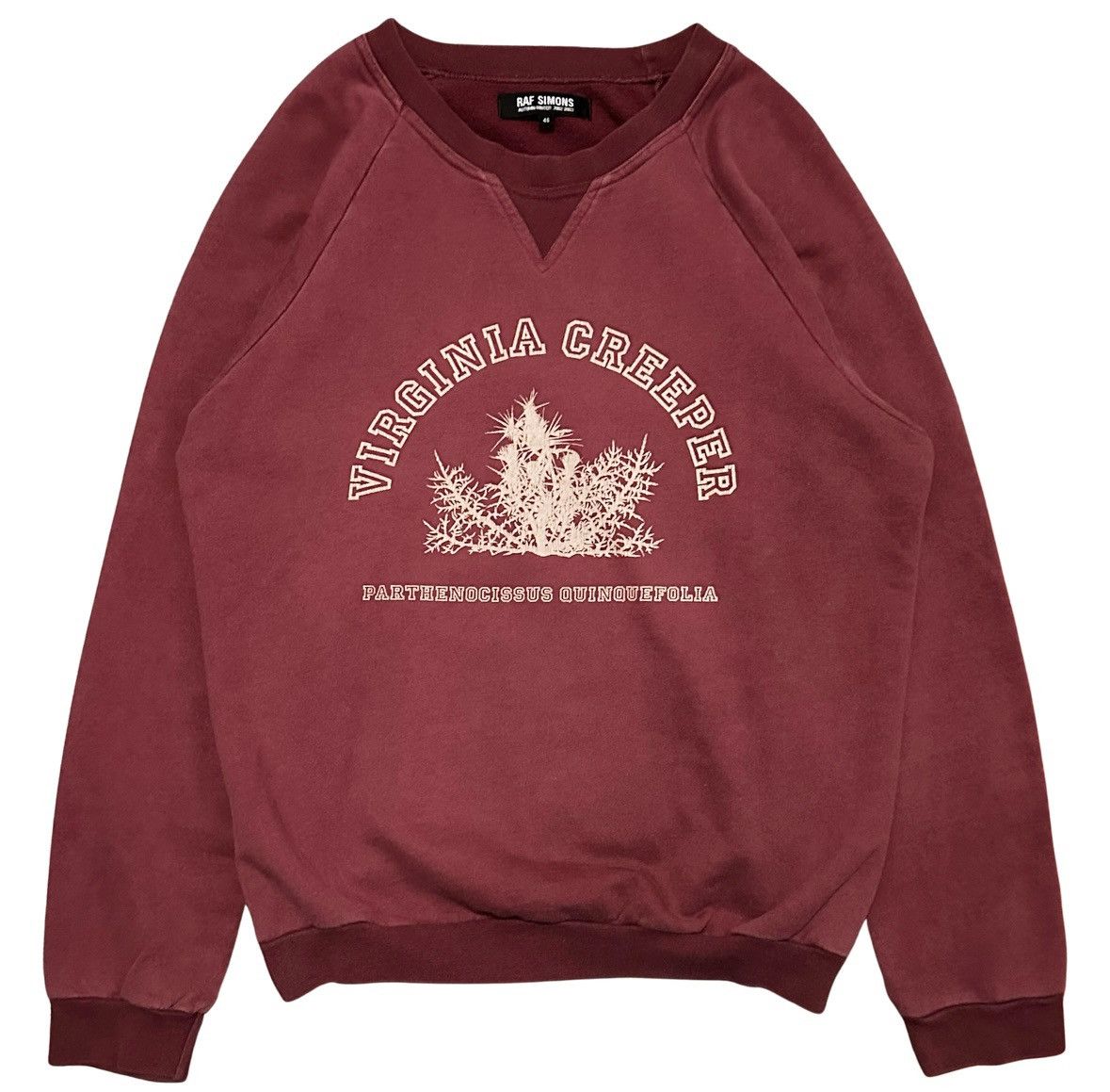 Raf Simons Virginia Creeper Hoodie | Grailed