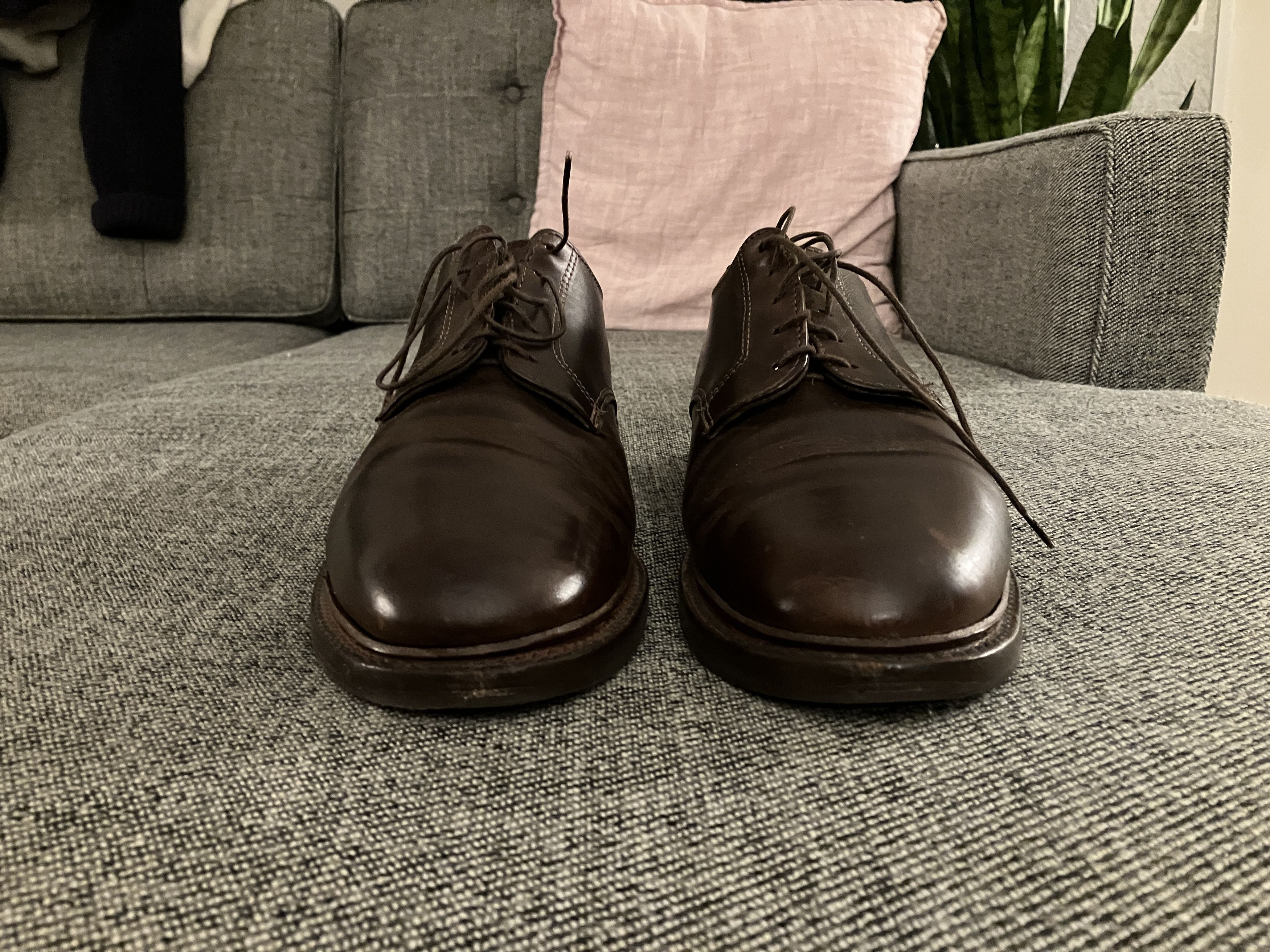 Made in USA Plain Toe Blucher