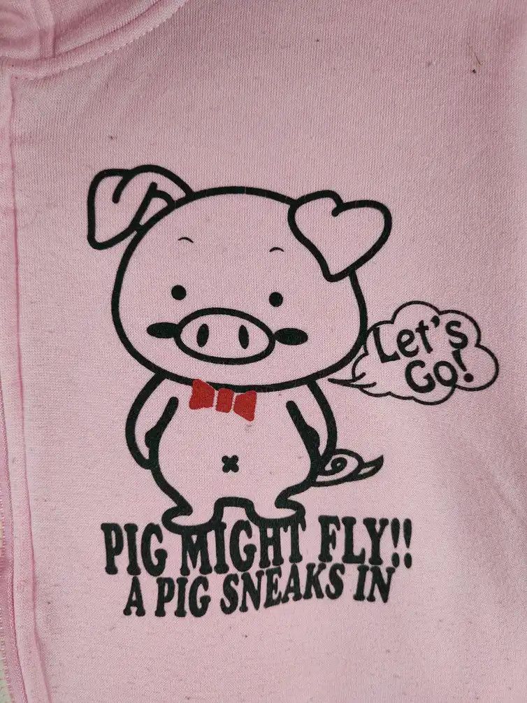 Japanese Brand Bullet Noise-Pig Pink Hoodie Sweater #482B Size US M / EU 48-50 / 2 - 11 Thumbnail