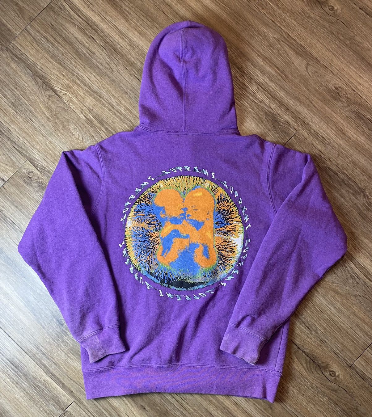 Supreme Supreme Embryo Hoodie Grailed