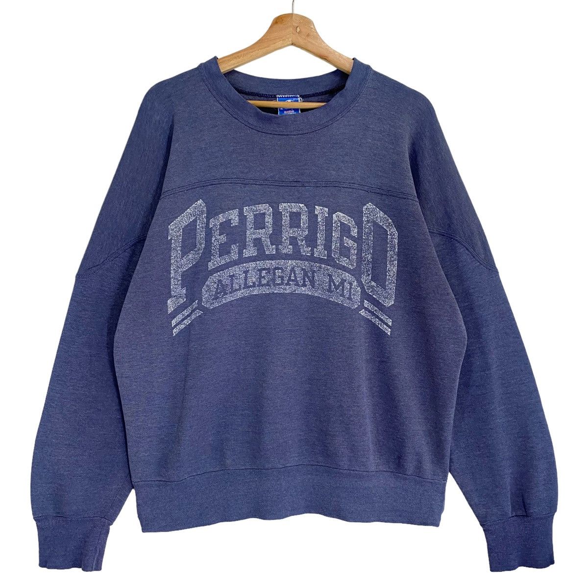 Champion × Vintage Vintage 90s Perrigo Allegan Michigan Crewneck Sweatshirt Size US M / EU 48-50 / 2 - 1 Thumbnail
