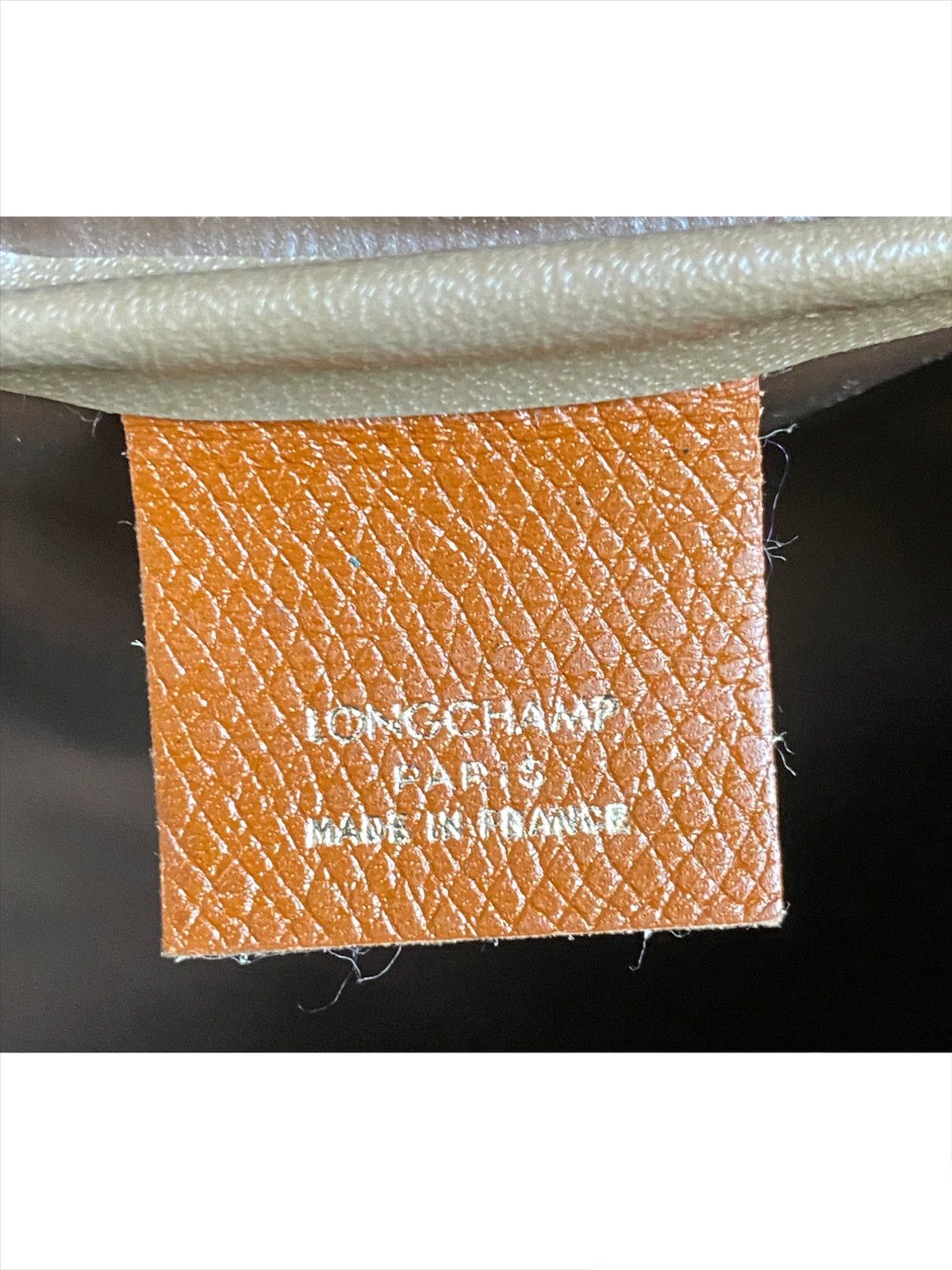 Longchamp Amazon Sling Bag