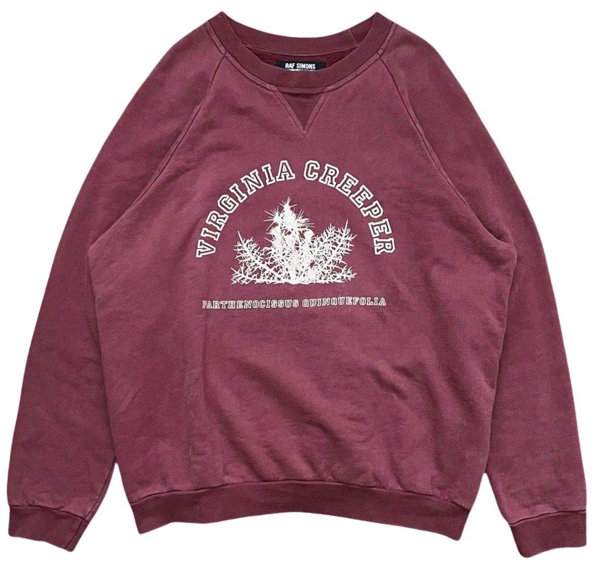 Raf Simons Virginia Creeper Hoodie | Grailed