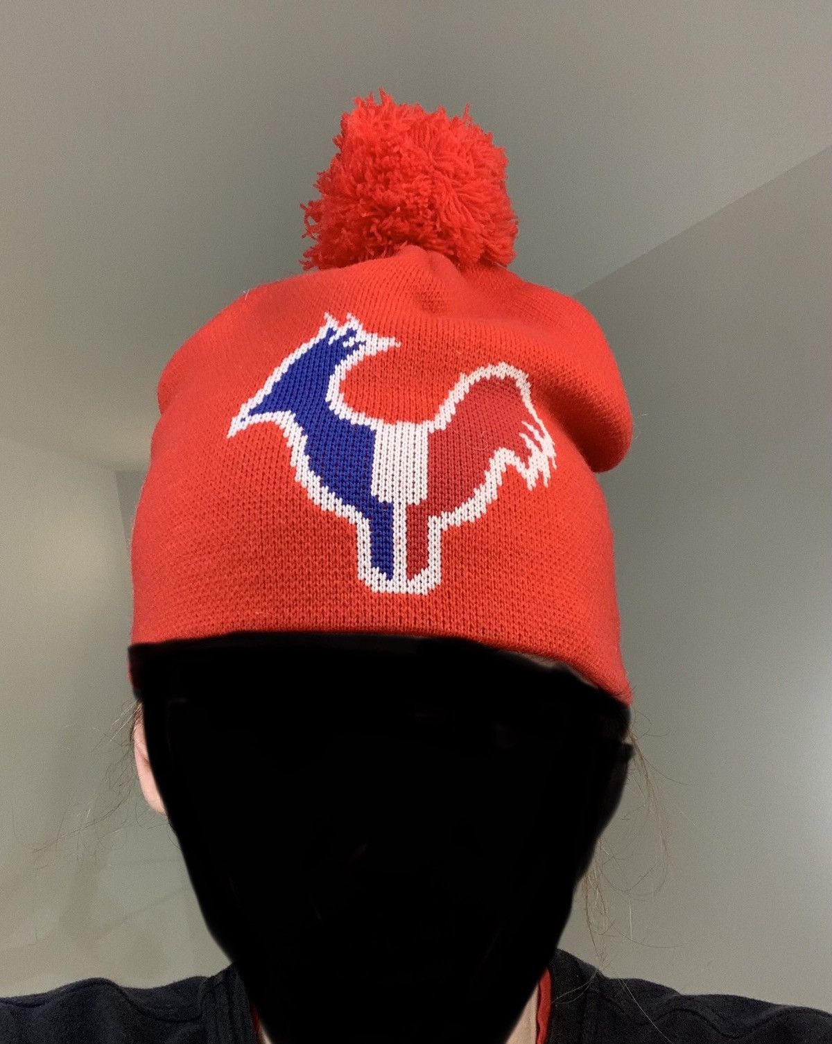 Vintage Vintage Rosignol Red Pom Pom Skully Beanie Ski Brand Toque Size ONE SIZE - 6 Thumbnail