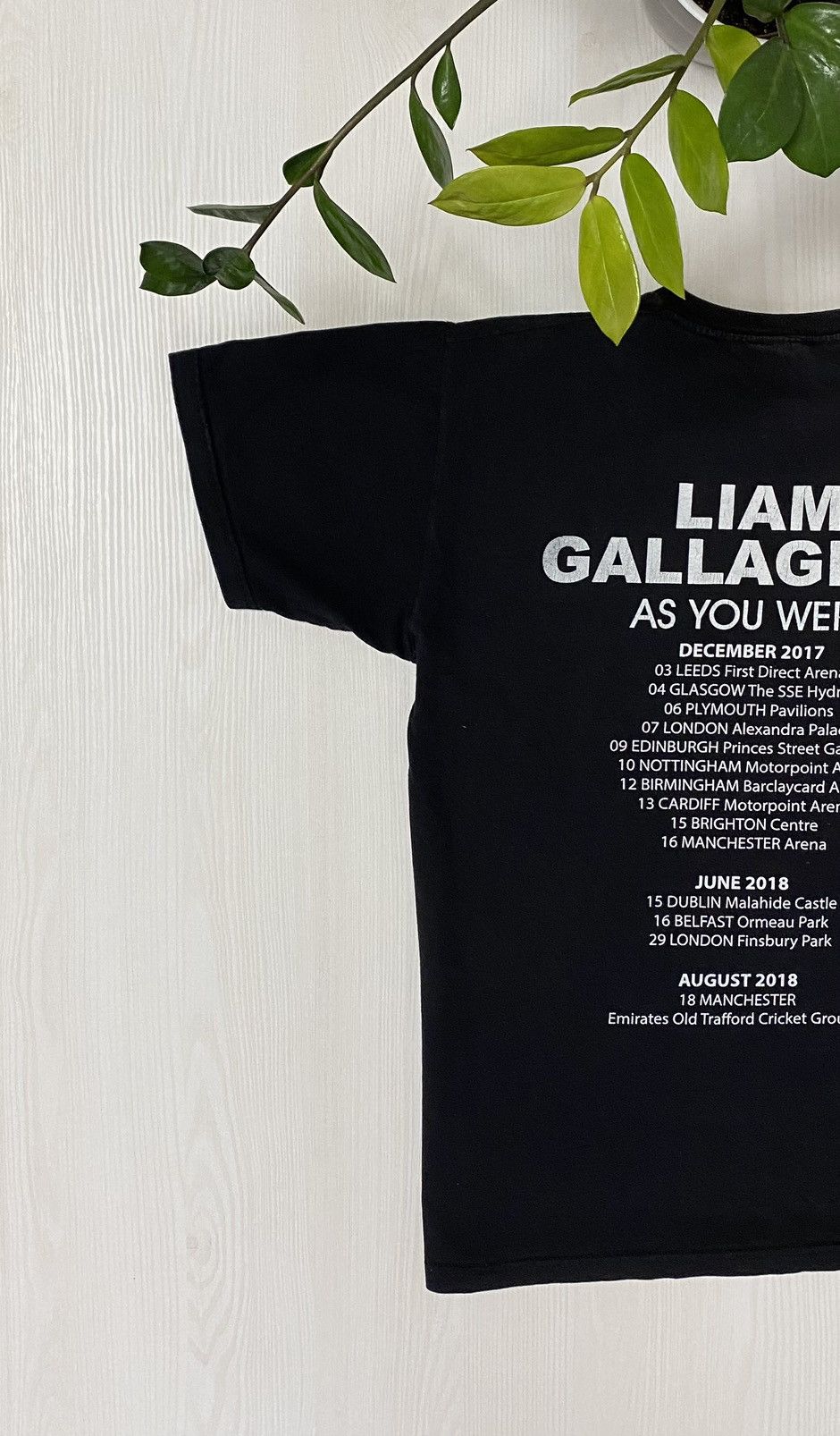 Band Tees Liam Gallagher 2017/2018 As You Where Tour T-shirt Size US M / EU 48-50 / 2 - 5 Thumbnail