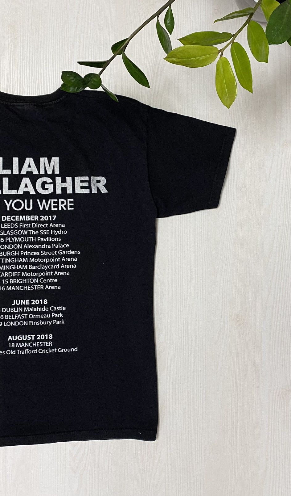 Band Tees Liam Gallagher 2017/2018 As You Where Tour T-shirt Size US M / EU 48-50 / 2 - 6 Thumbnail