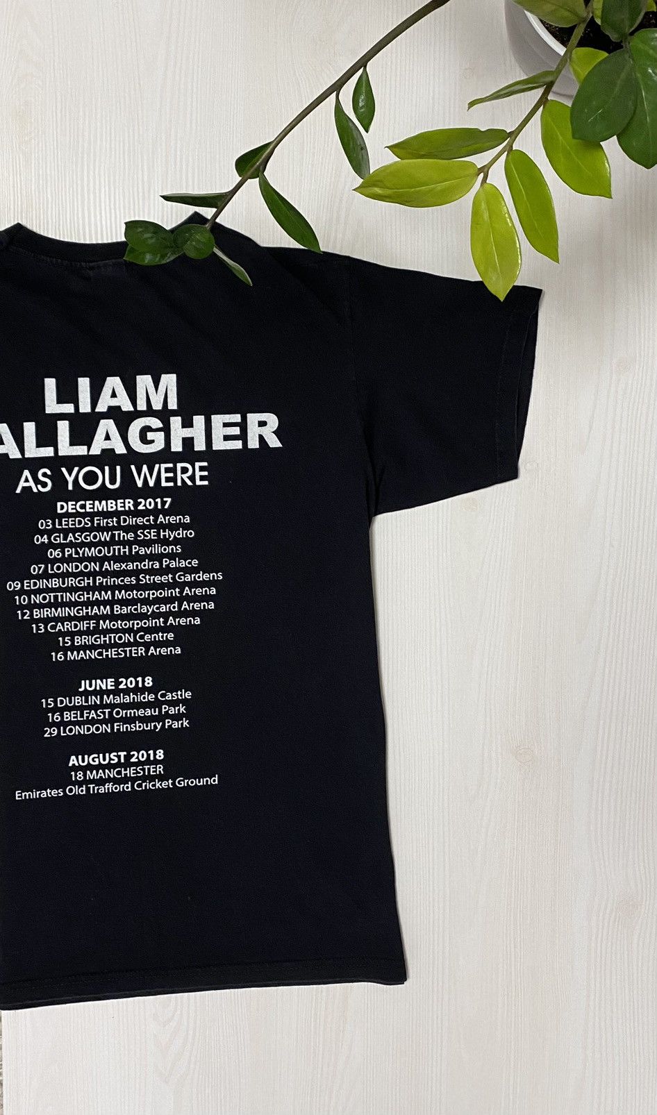Band Tees Liam Gallagher 2017/2018 As You Where Tour T-shirt Size US M / EU 48-50 / 2 - 6 Thumbnail