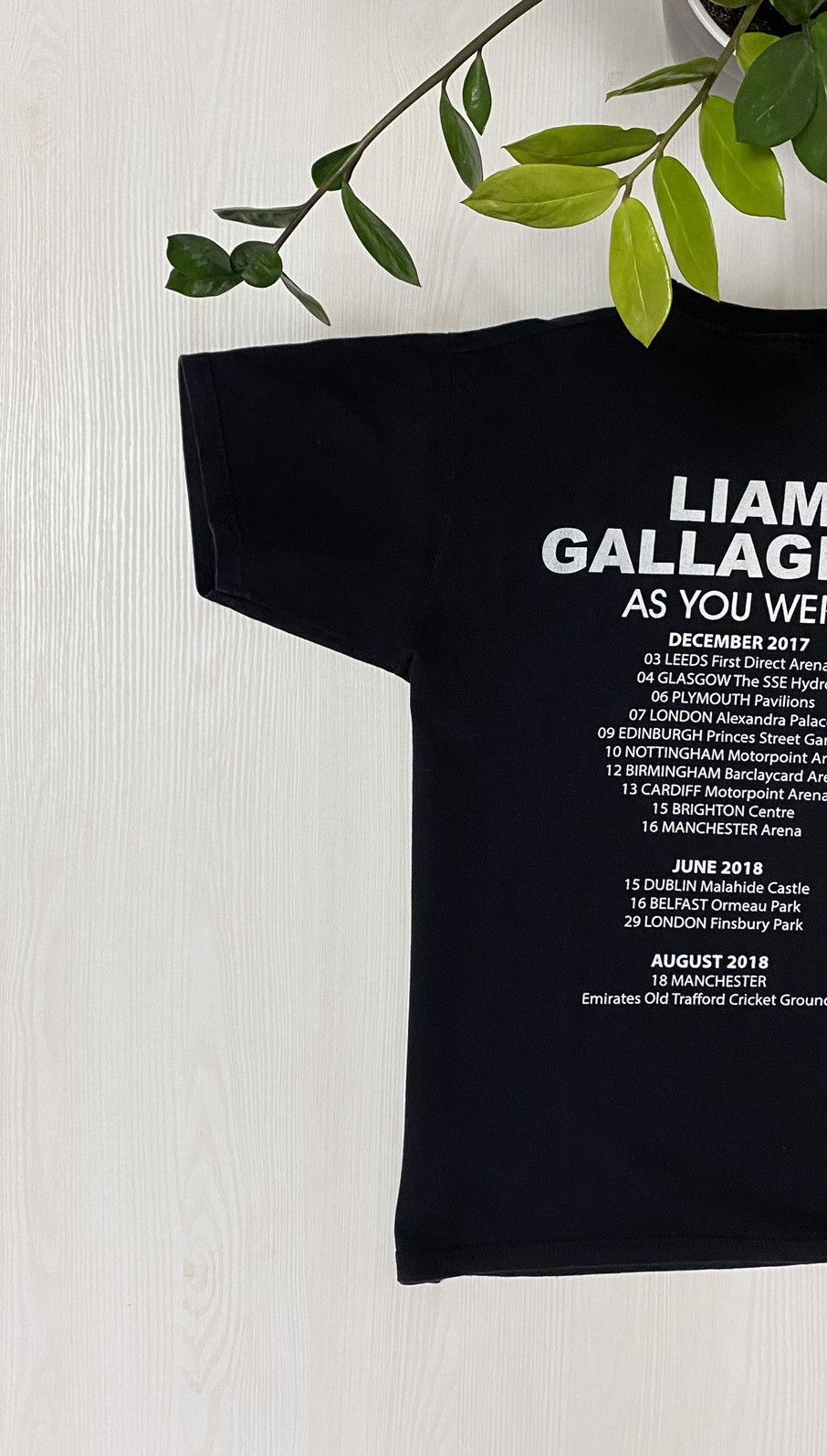 Band Tees Liam Gallagher 2017/2018 As You Where Tour T-shirt Size US M / EU 48-50 / 2 - 5 Thumbnail