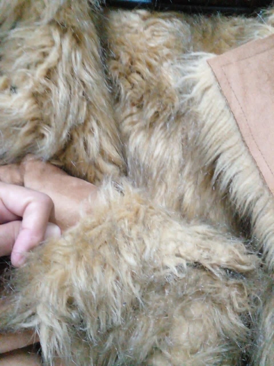 JACKET FUR MARYLESTER. (GJ23)