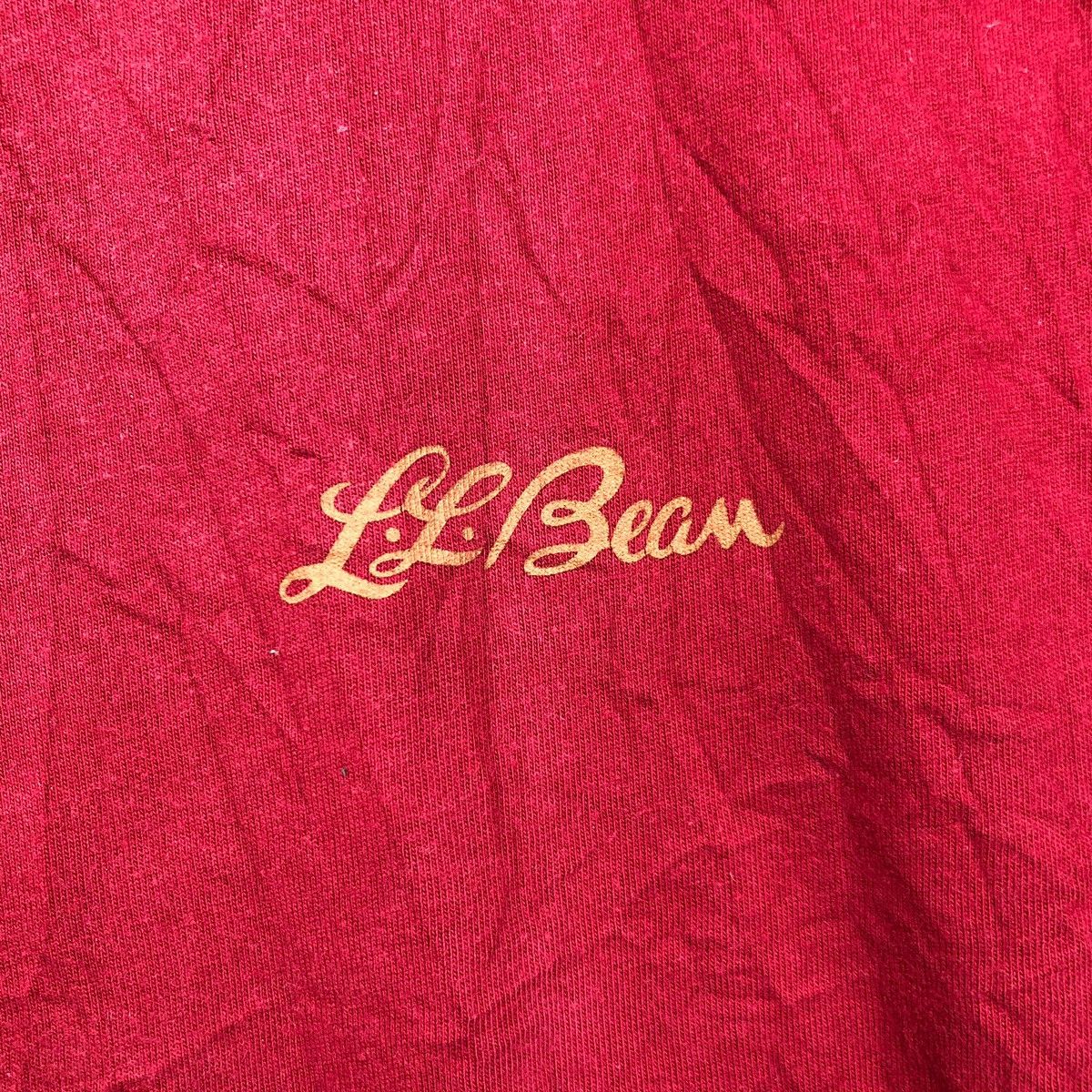 L.L. Bean Vtg LL BEAN EAGLE Outfitters Sportswear Outdoor T-Shirts Size US XL / EU 56 / 4 - 5 Thumbnail