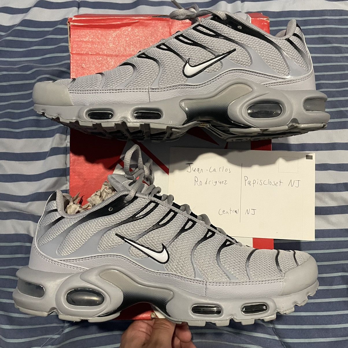 Tns wolf grey