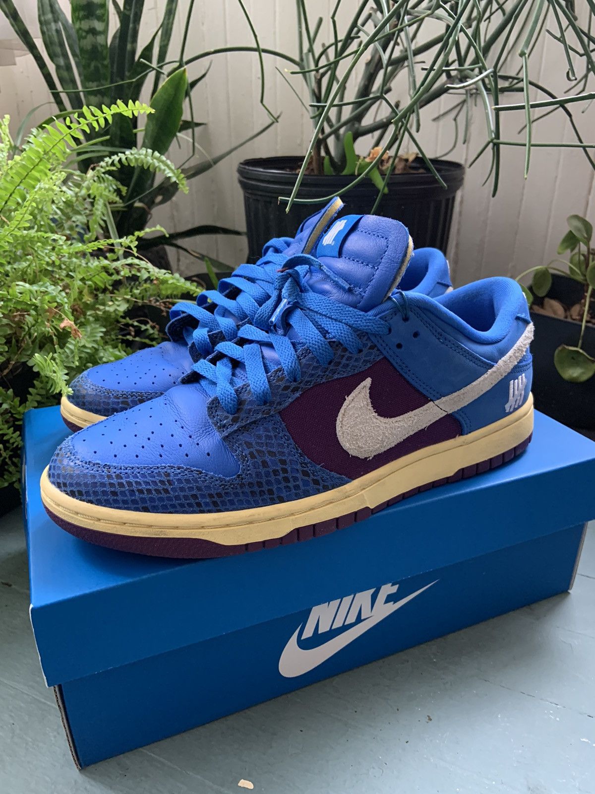 undefeated dunk low 5 on it black