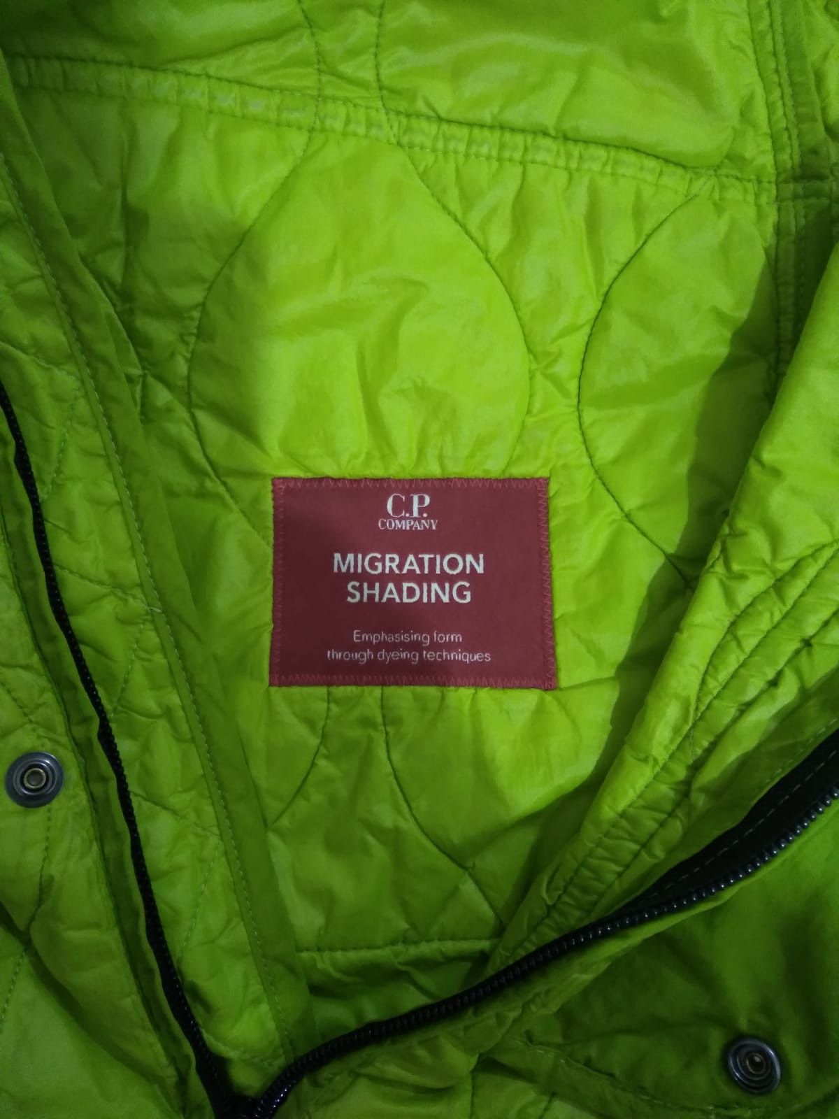 C.P. Company Ripstop Nylon Green Padded Gilet Size US XL / EU 56 / 4 - 7 Thumbnail