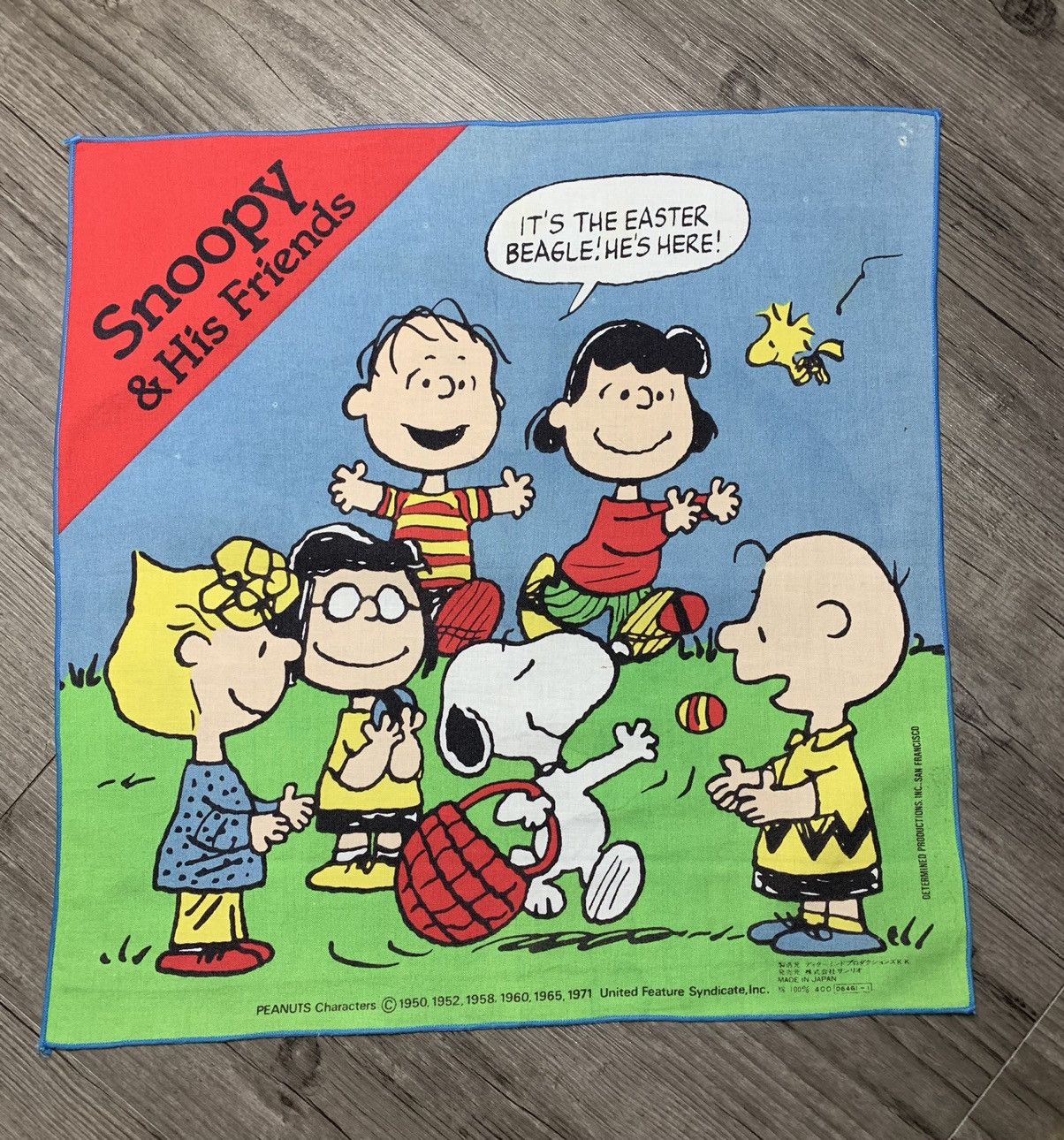Disney Peanuts Snoopy Handkerchief/Neckerchief Size ONE SIZE - 1 Thumbnail