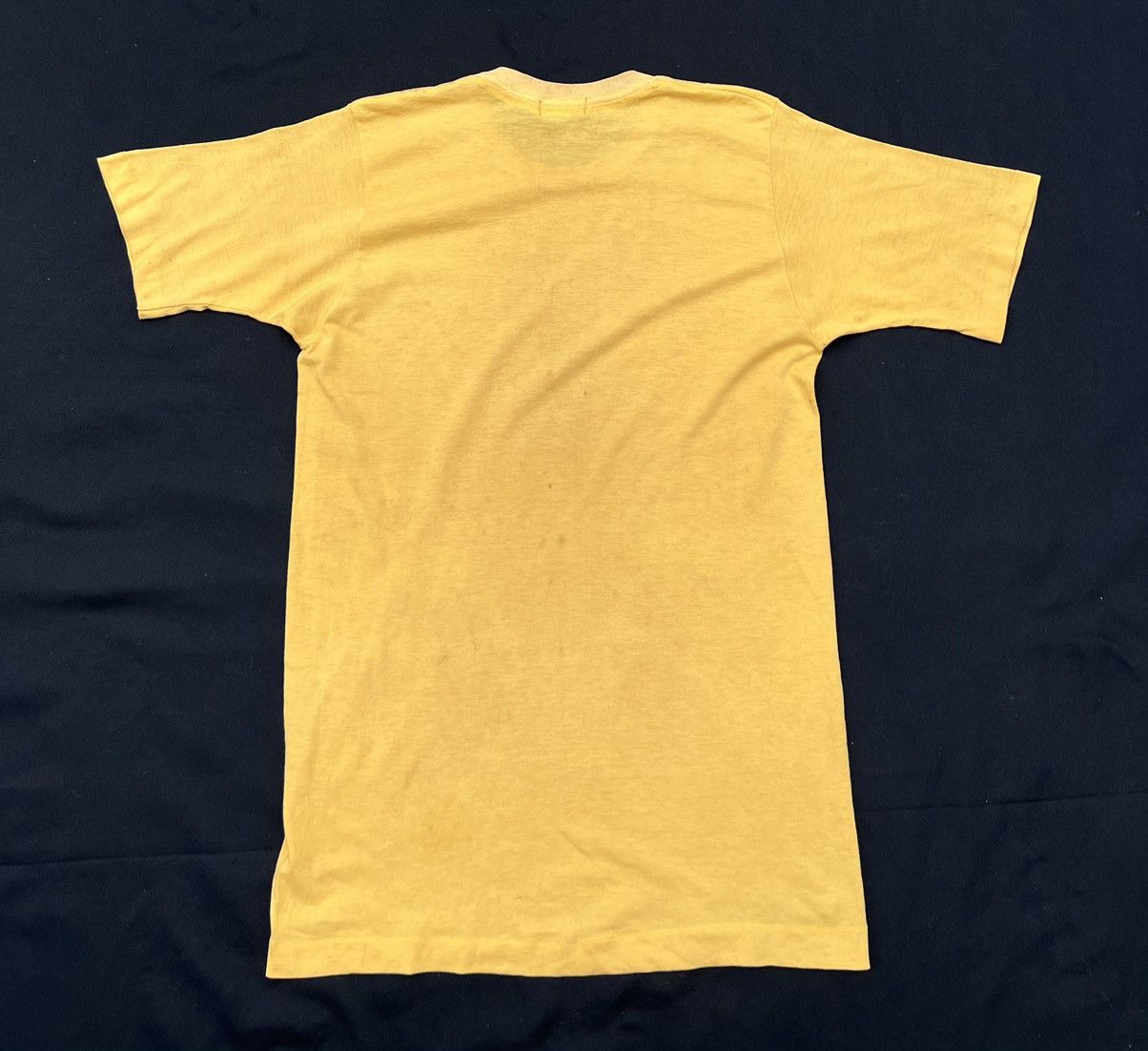 Vintage Trashed Vintage 1975 Simon Hoyle Made in Banff, Canada tees Size US M / EU 48-50 / 2 - 3 Thumbnail