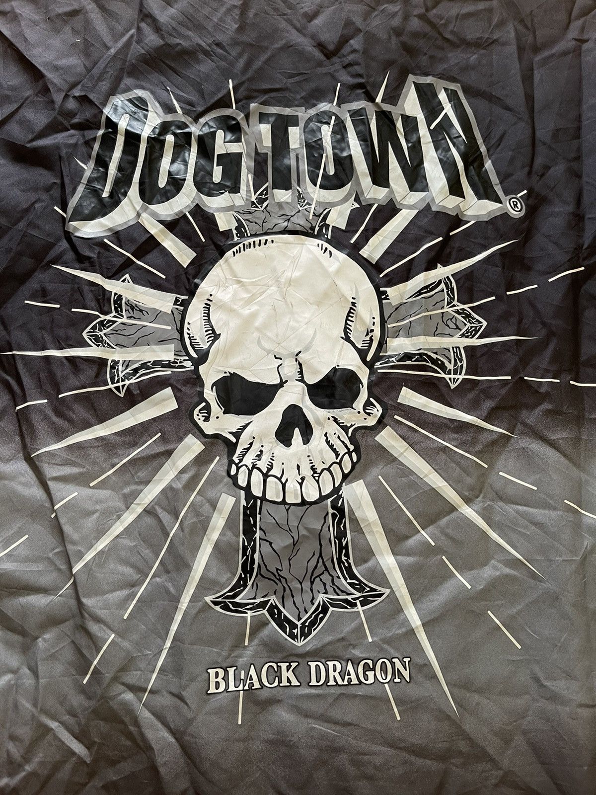 Vintage Dogtown Black Dragon Skull Hooded Vest