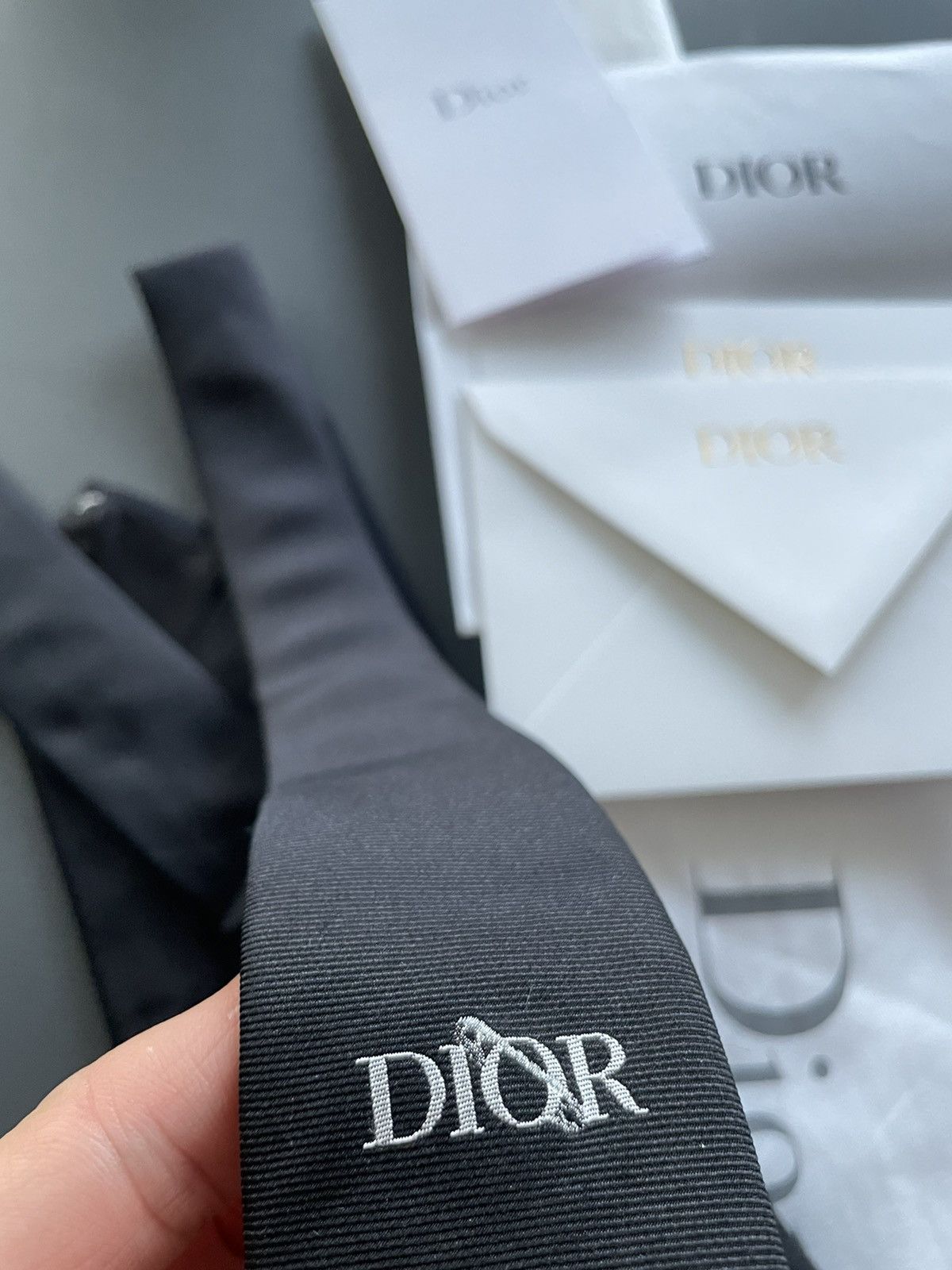 Dior Sold Runway LimitedEdition Dior x Judy Blame Silk Logo Tie Size ONE SIZE - 2 Thumbnail