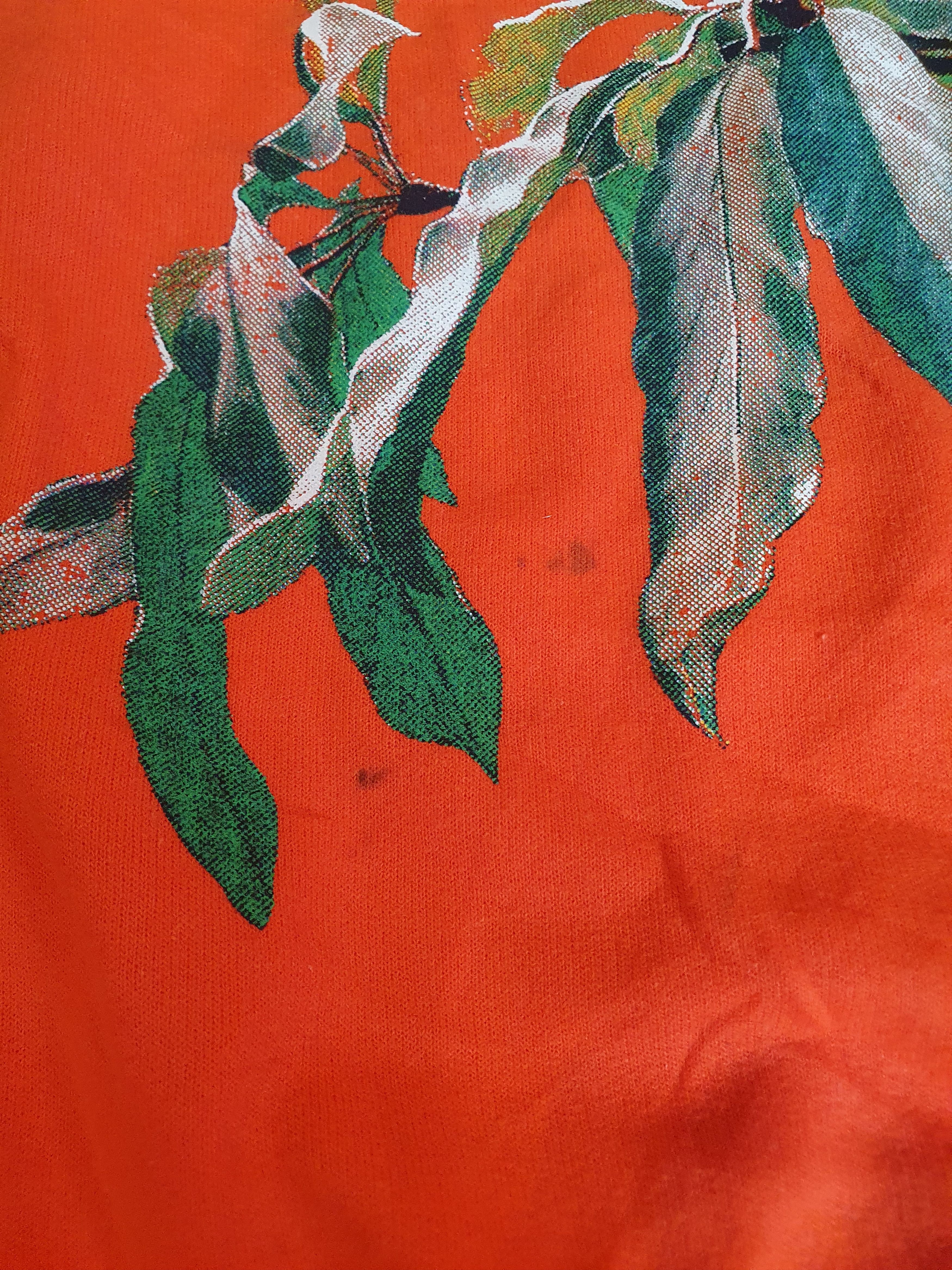 Gildan Gildan Parrot Bird SWAG sweatshirt,sz XL Size US XL / EU 56 / 4 - 6 Thumbnail