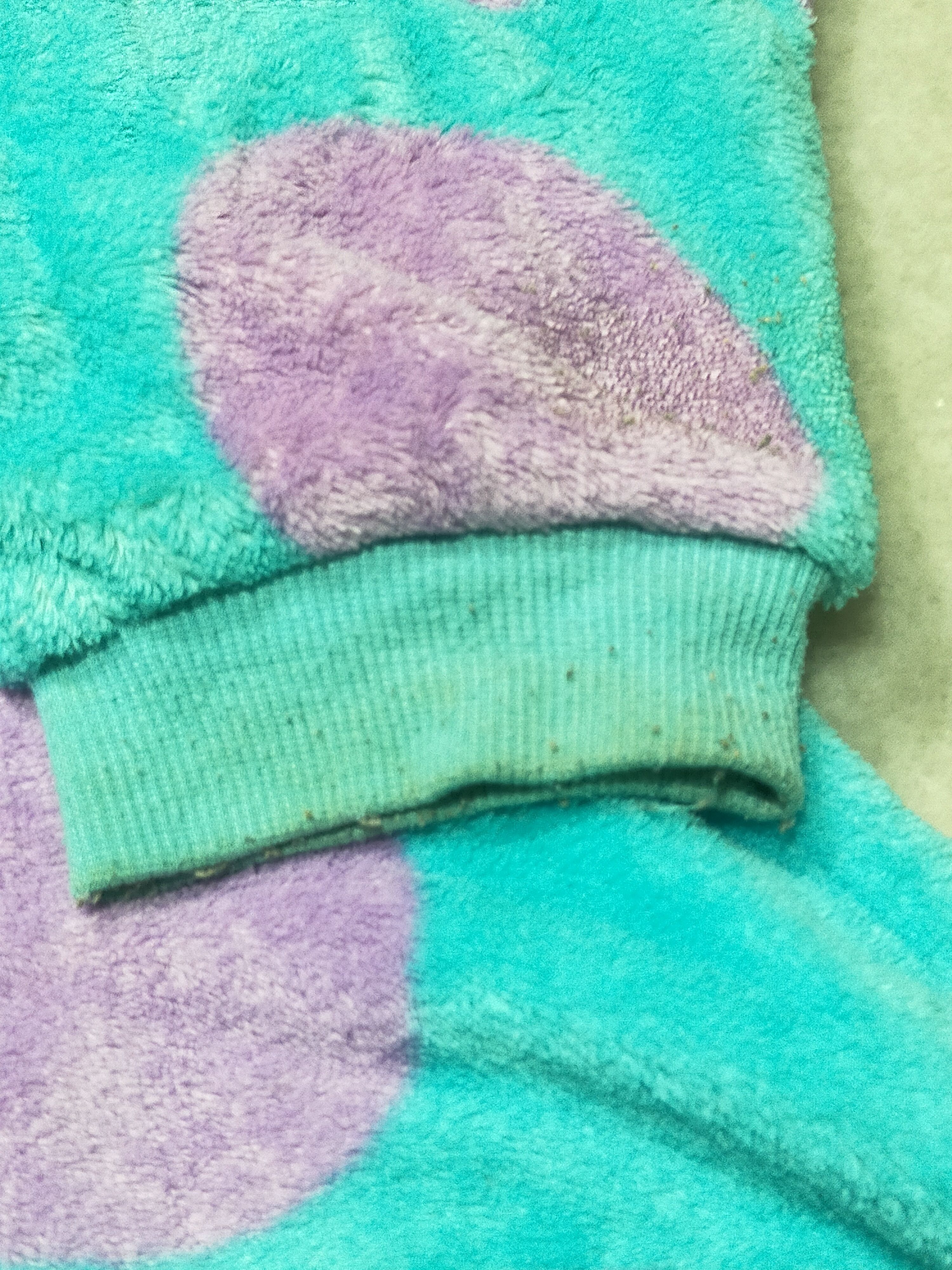 Disney MONSTER INC. DISNEY PIXAR SULLY HOODIE FLEECE Size US M / EU 48-50 / 2 - 11 Thumbnail