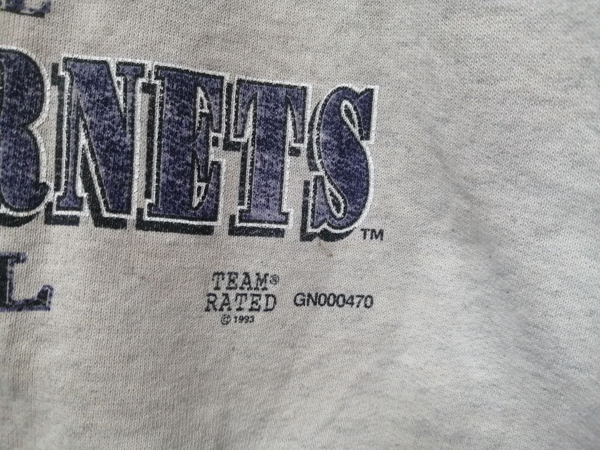 NBA × Vintage 1993 Vintage Charlotte Hornets Crewneck Very Rare Size US L / EU 52-54 / 3 - 5 Thumbnail