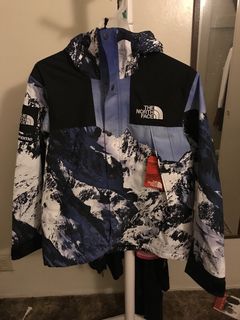 Supreme tnf mountain outlet parka