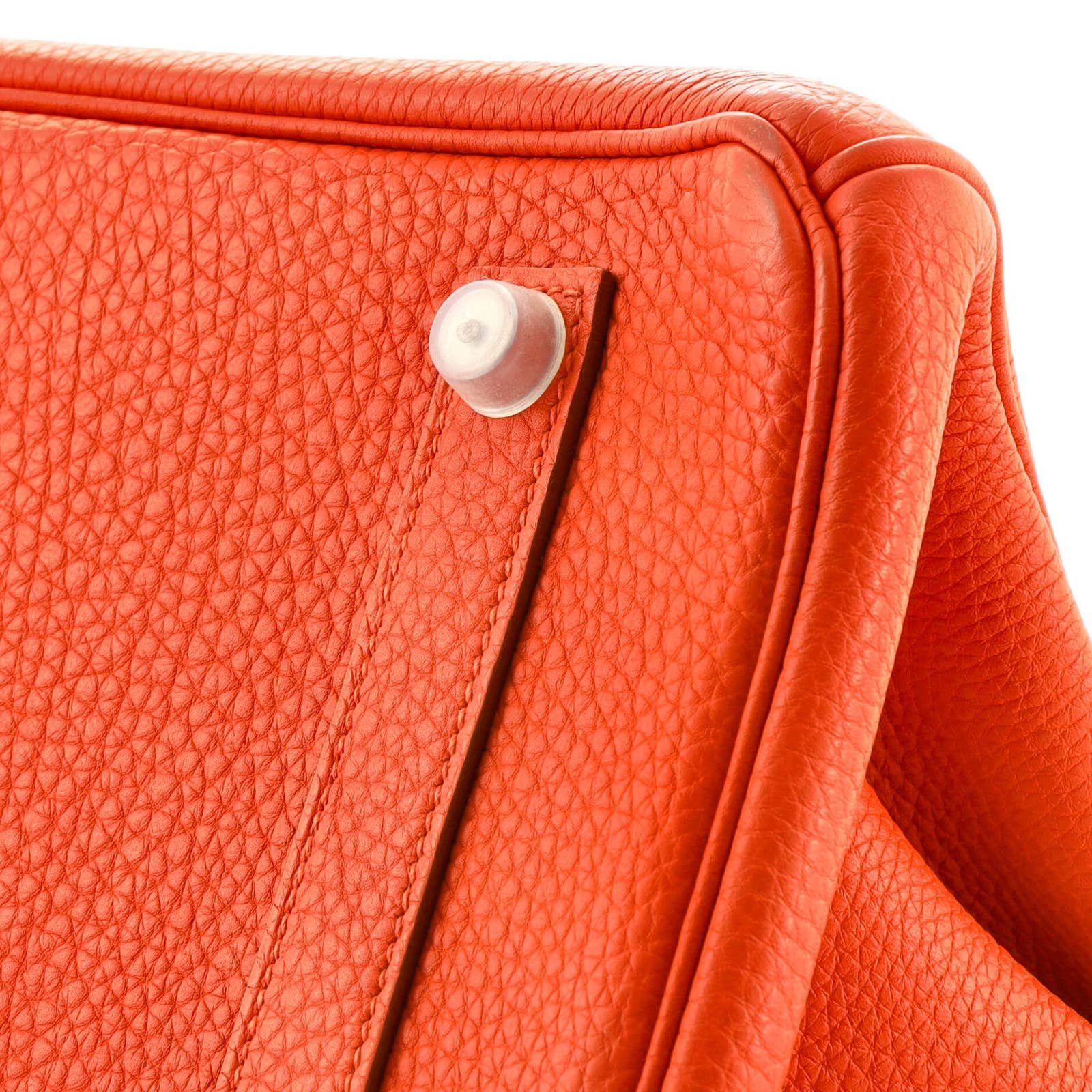 Hermes Birkin Handbag Capucine Togo with Palladium Hardware 35 Size ONE SIZE - 8 Thumbnail