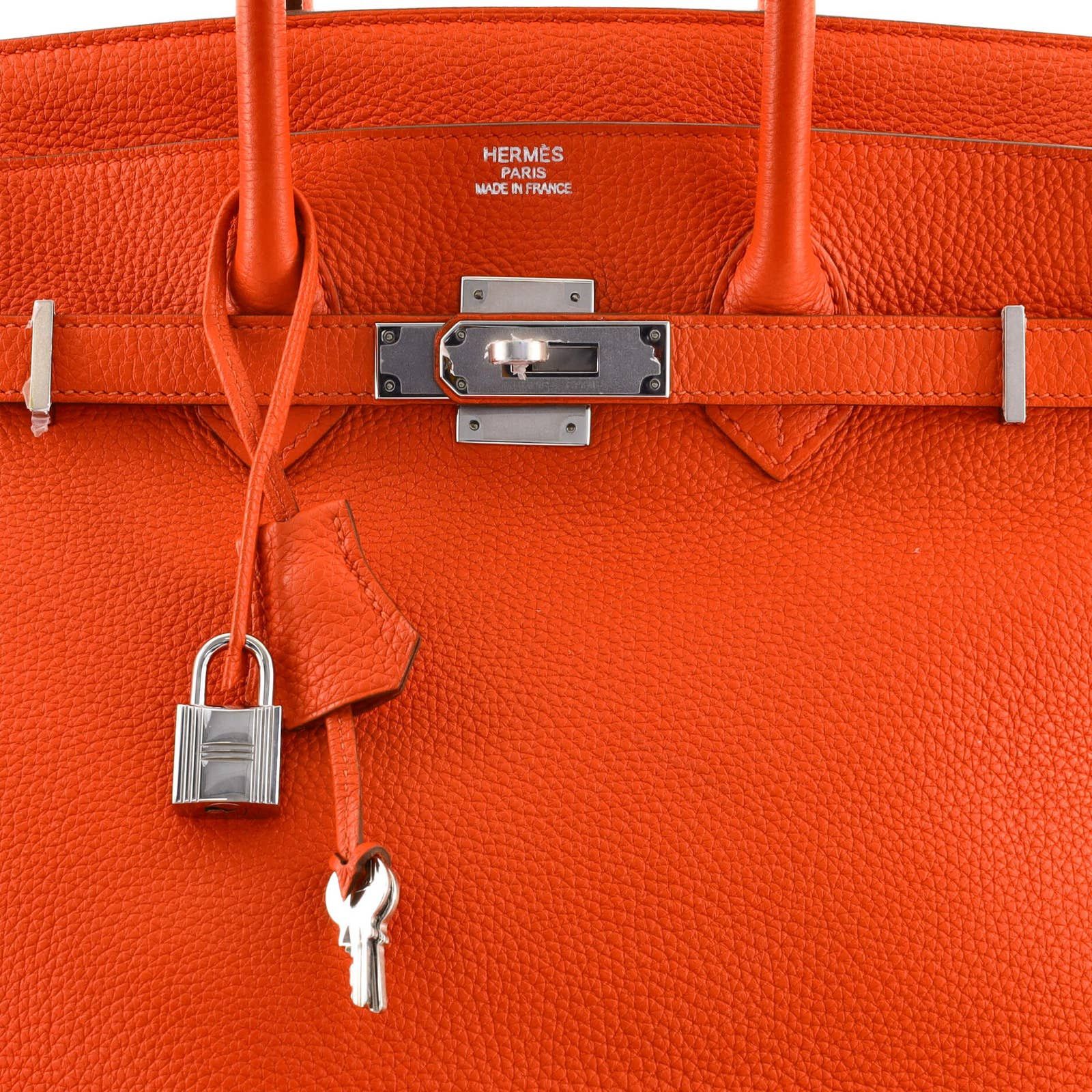 Hermes Birkin Handbag Capucine Togo with Palladium Hardware 35 Size ONE SIZE - 6 Thumbnail