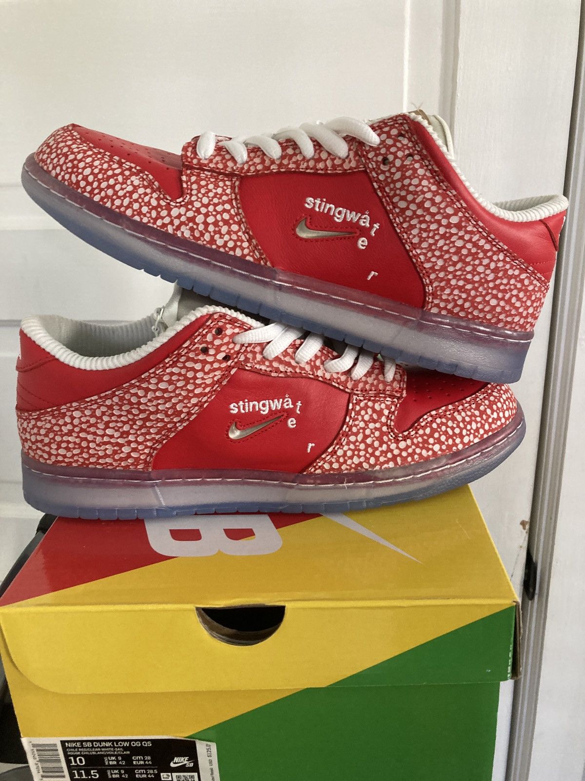 stingwater nike dunks