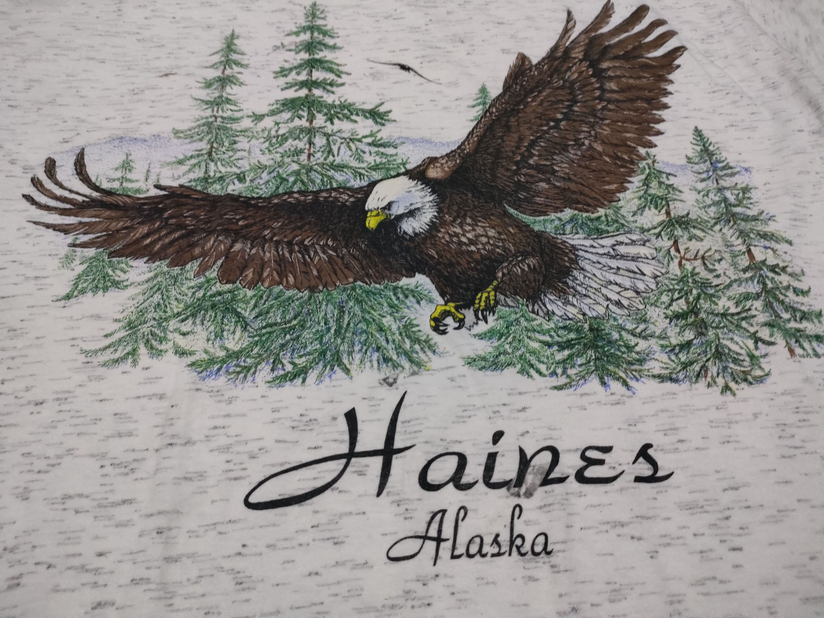 Vintage Vintage Eagle Made In USA Tee Size US L / EU 52-54 / 3 - 7 Thumbnail