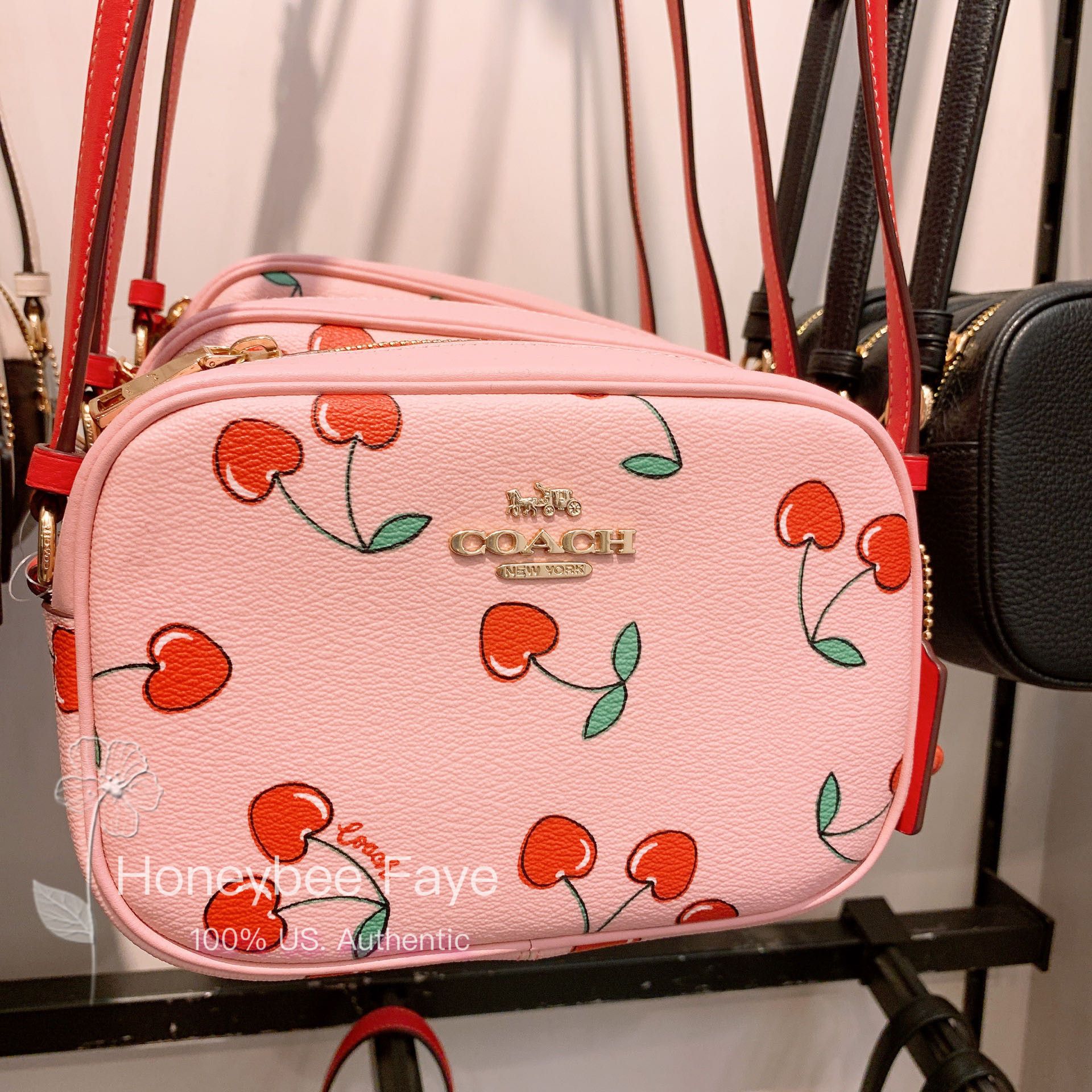 COACH Mini Jamie Camera Bag With Cherry PrintショルダーCR173 Coach Mini Jamie Camera Bag With Cherry Print