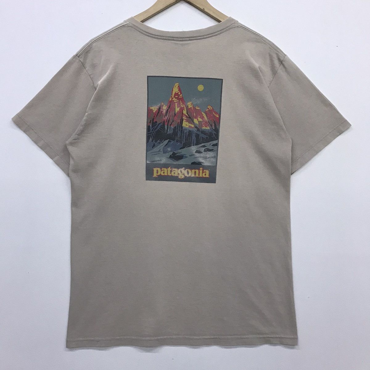 *Rare!! Patagonia Mountain Logo Back Print tee