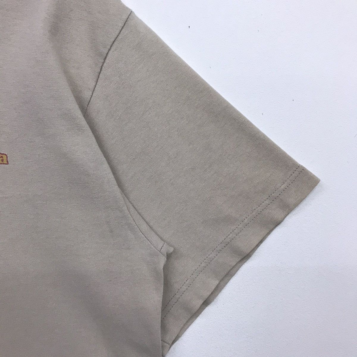 *Rare!! Patagonia Mountain Logo Back Print tee