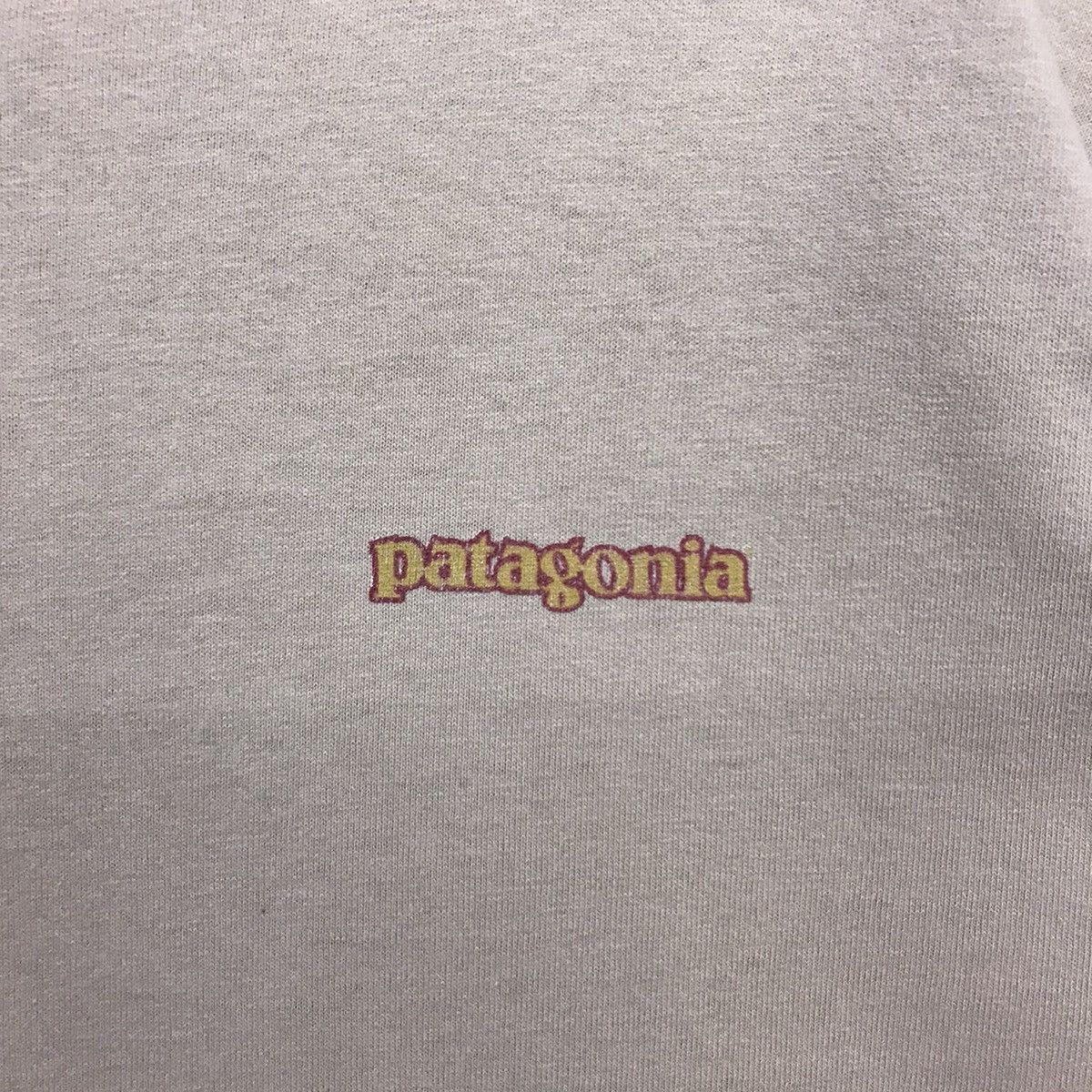 *Rare!! Patagonia Mountain Logo Back Print tee