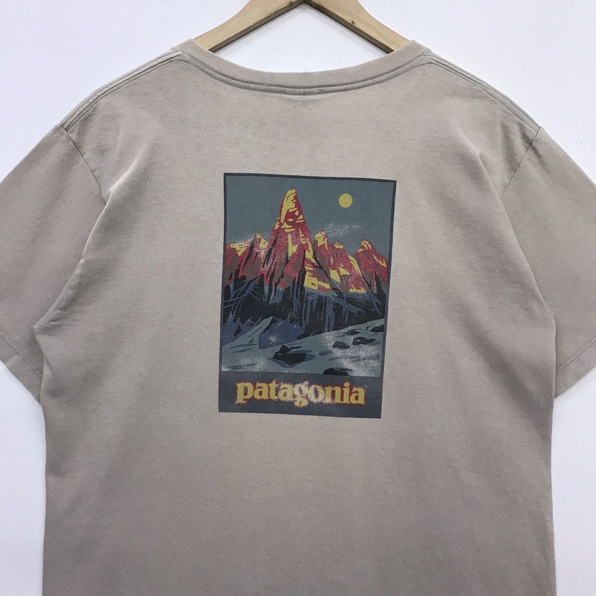 *Rare!! Patagonia Mountain Logo Back Print tee