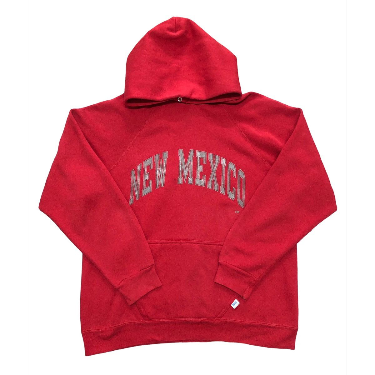 Vintage 90s Discus Athletic New Mexico Hoodie