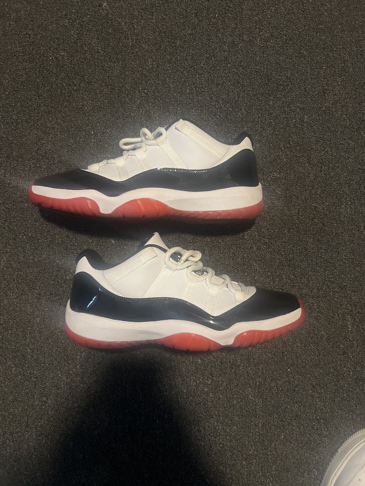 low top concord bred 11s