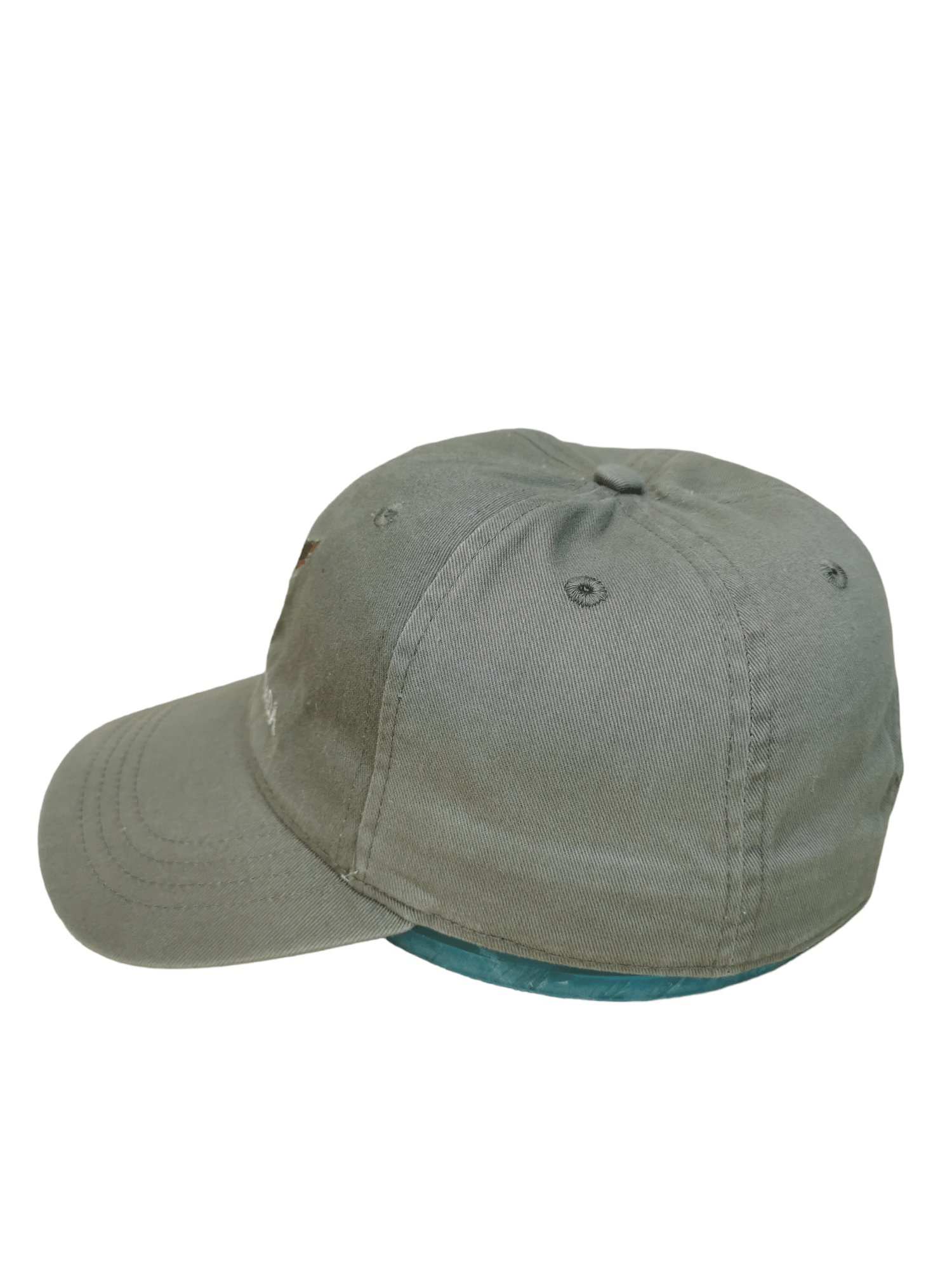 If Six Was Nine VICTORIA CANADA EAGLE STREETWEAR HAT CAP Size ONE SIZE - 2 Thumbnail