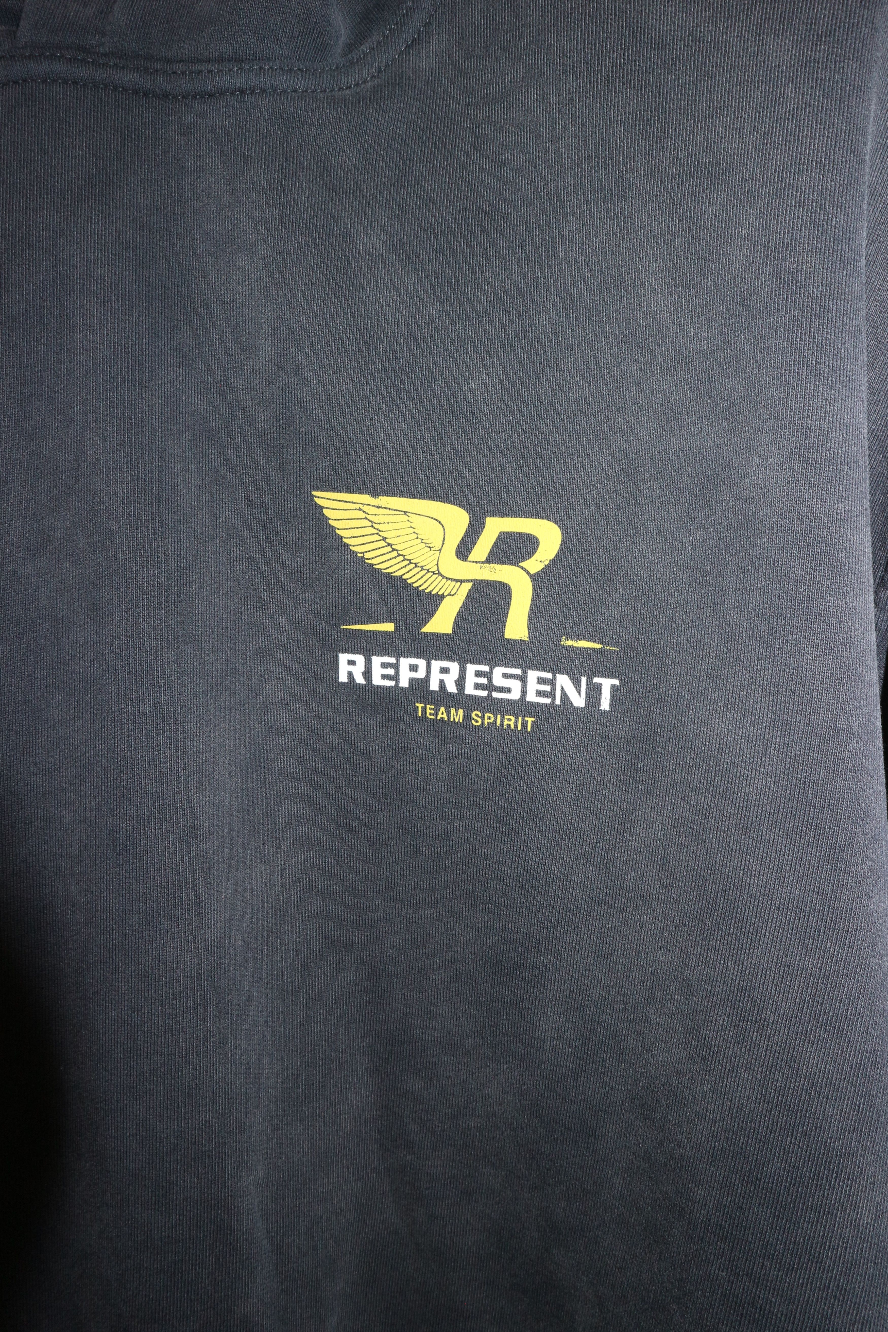 Represent Clo. TEAM SPIRIT HOODIE Size US L / EU 52-54 / 3 - 3 Thumbnail