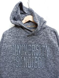 Viceroy 2024 university hoodie