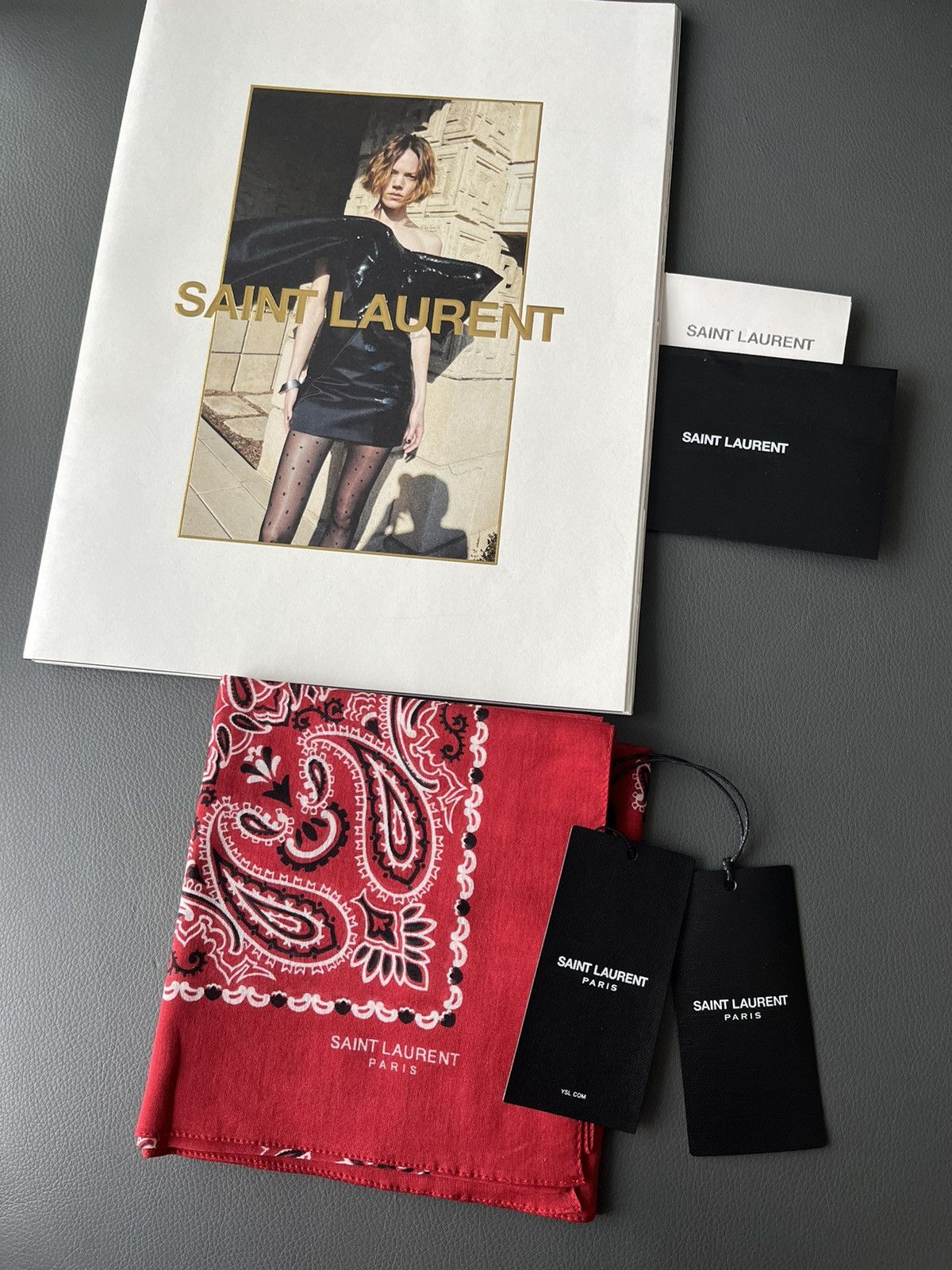 Super Rare Saint Laurent by Hedi Scarf Brand New