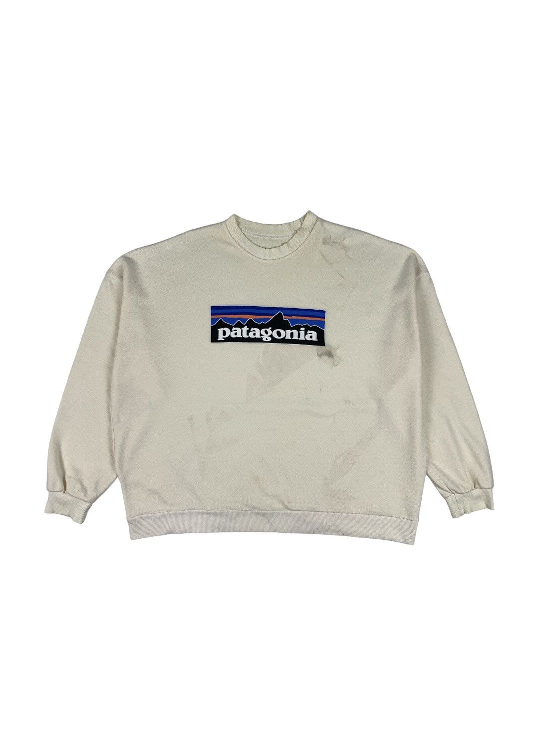 Patagonia Big Spellout Sweatshirt