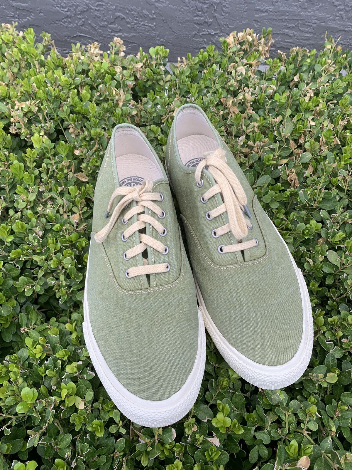 Norfolk Sage Green canvas low top sneakers