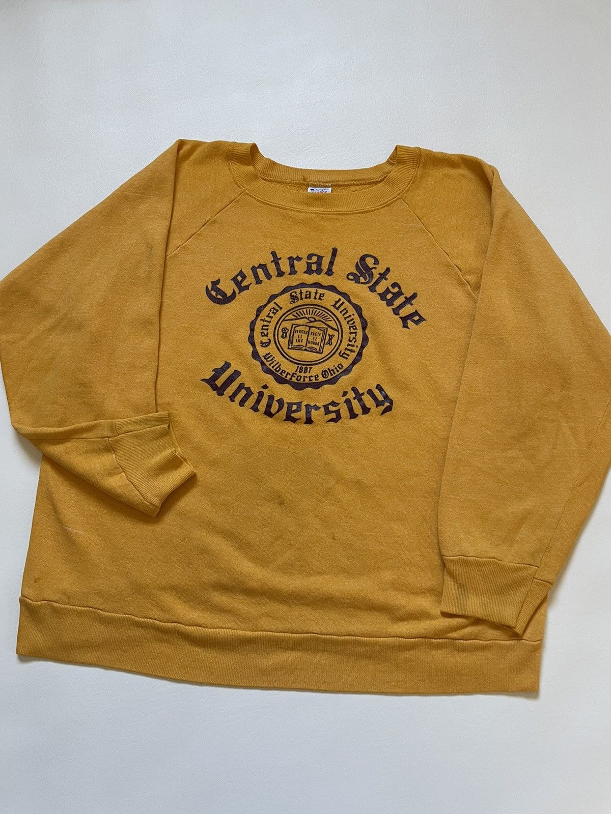 Vintage champion central state university sweatshirt