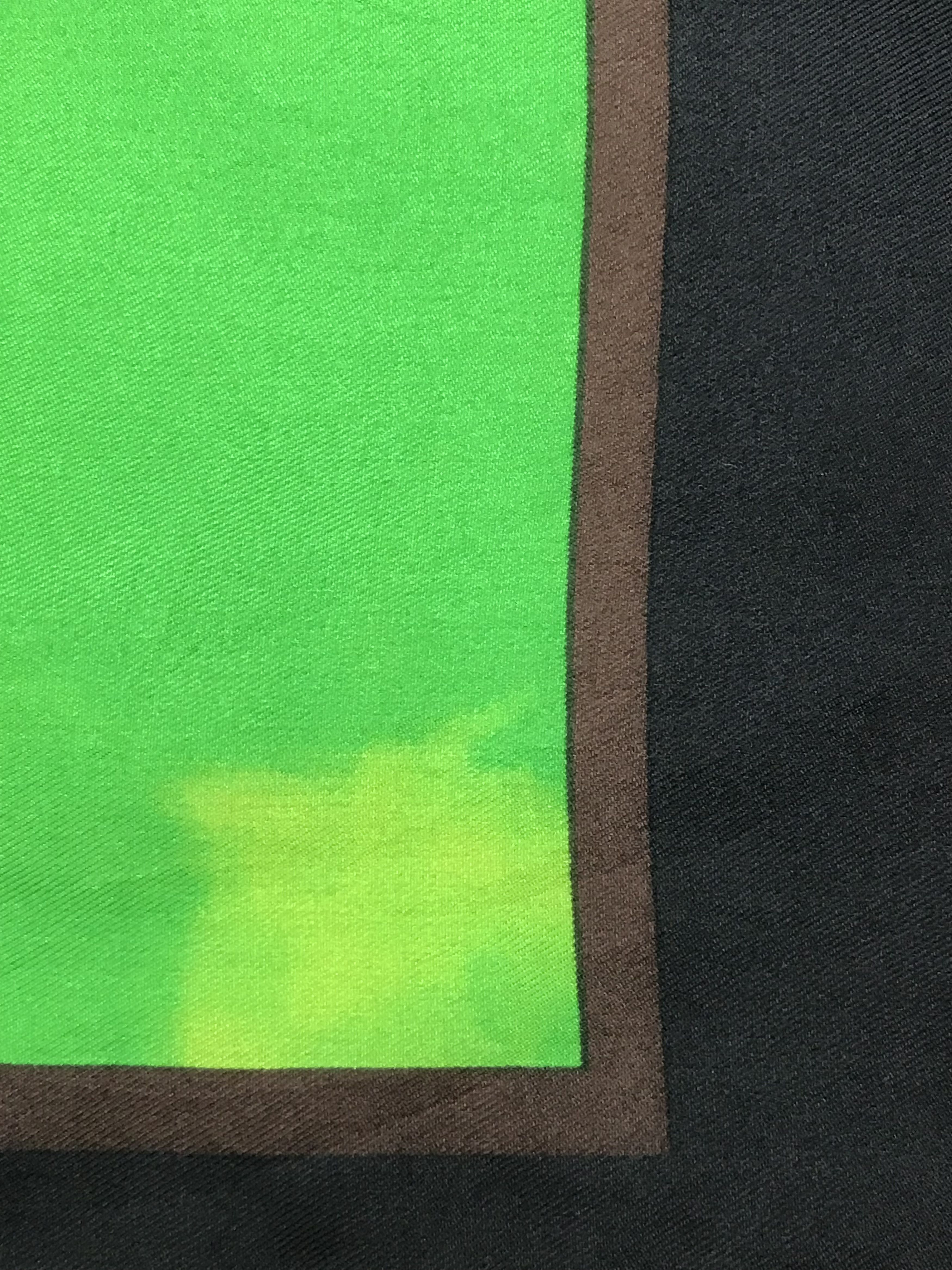 Other × Vintage EH801 Vintage Echo Silk Scarf Size ONE SIZE - 8 Thumbnail
