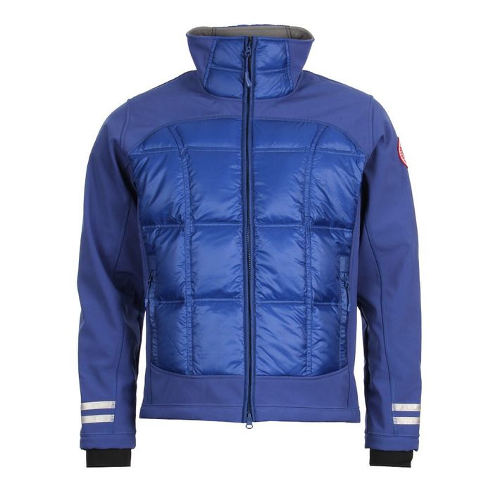 Pacific blue best sale canada goose