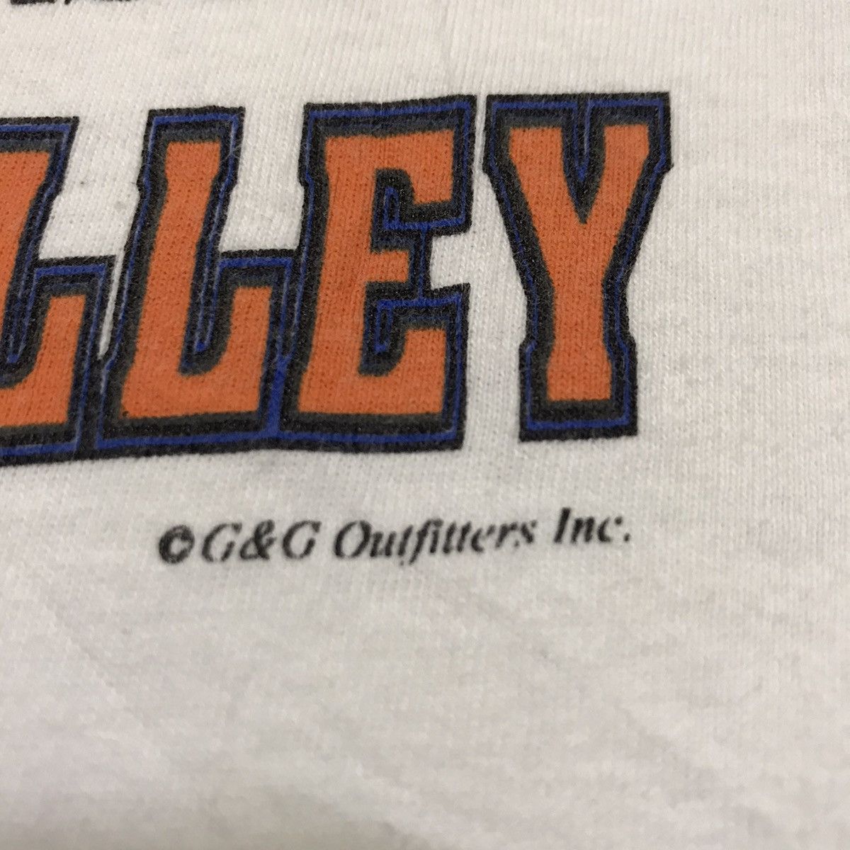 Vintage Vintage 90s Lemson University Welcome to Death Valley tshirt Size US XL / EU 56 / 4 - 9 Thumbnail