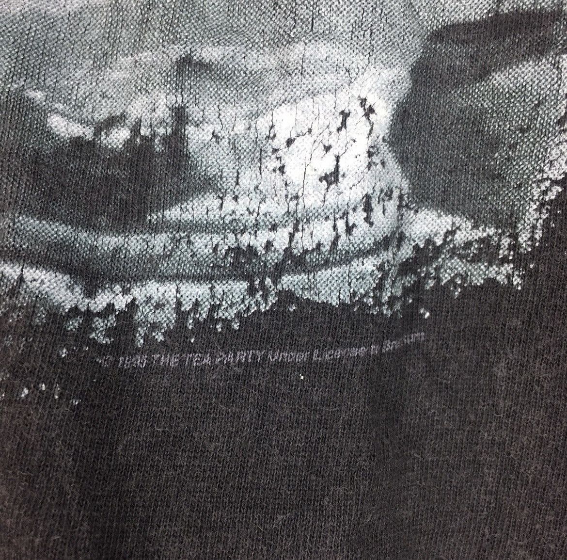 Band Tees Vintage 90s The Tea Party the edges of twilight band t shirt Size US M / EU 48-50 / 2 - 6 Thumbnail