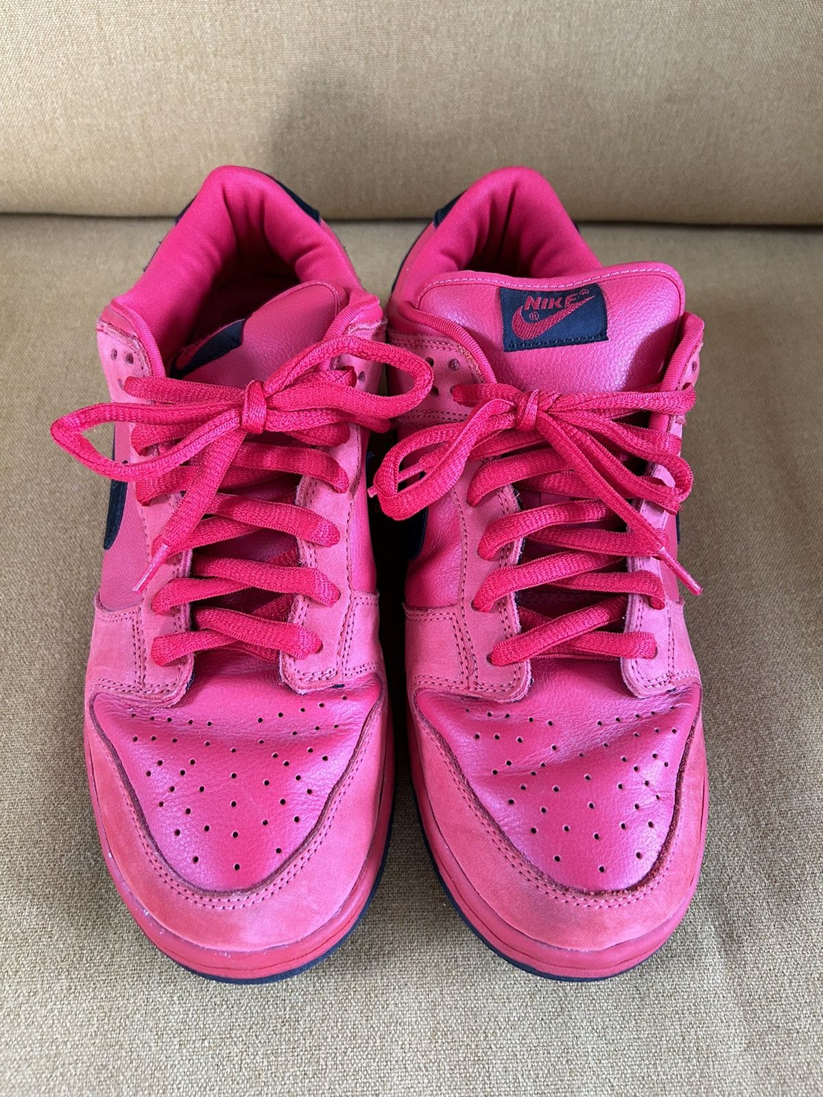 Nike Dunk Low Pro SB Pure Blood