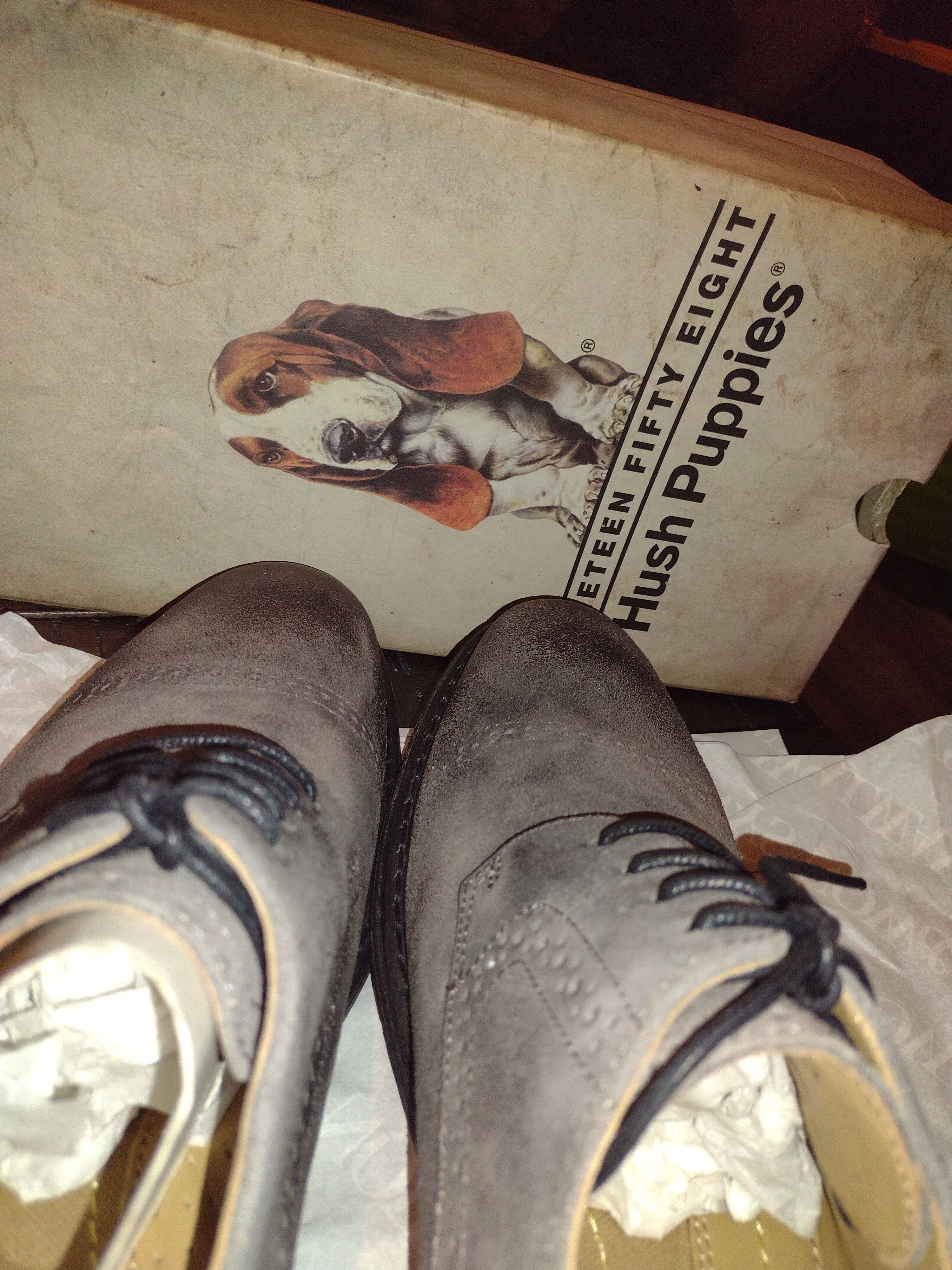 Hush Puppies Bygone Size US 12 / EU 45 - 6 Thumbnail