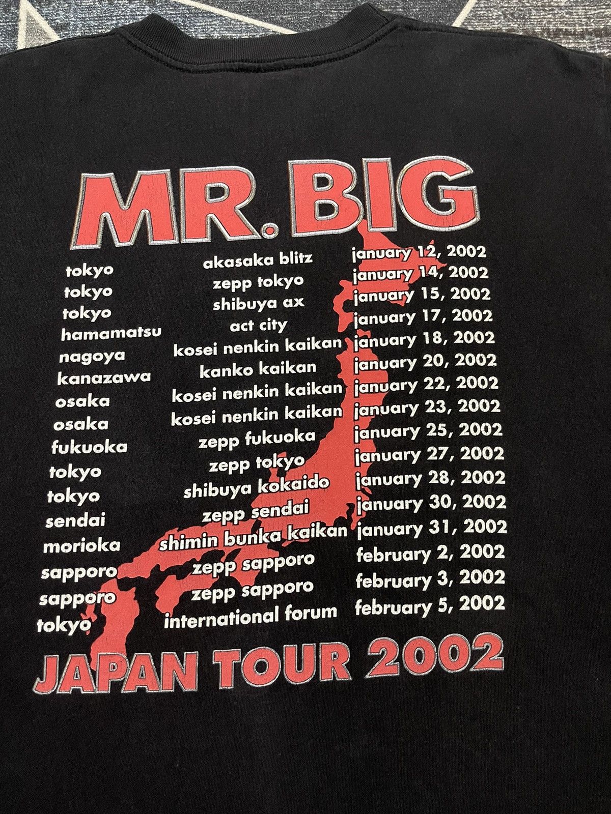 VINTAGE MR.BIG JAPAN TOUR 2002